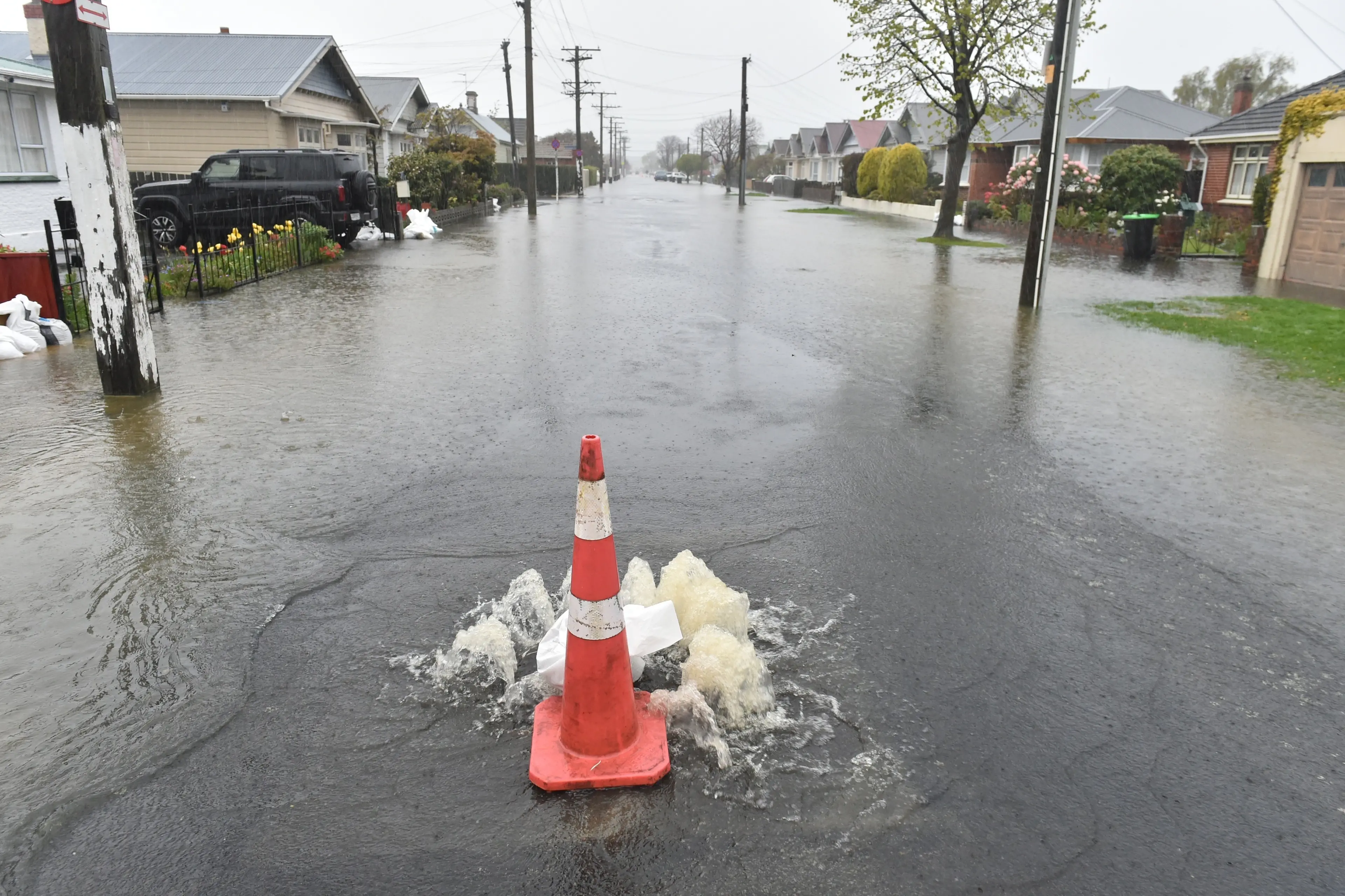 The South Dunedin Future programme is set to focus on both near-term infrastructure investment and long-term adaptation planning. Photo: Gregor Richardson