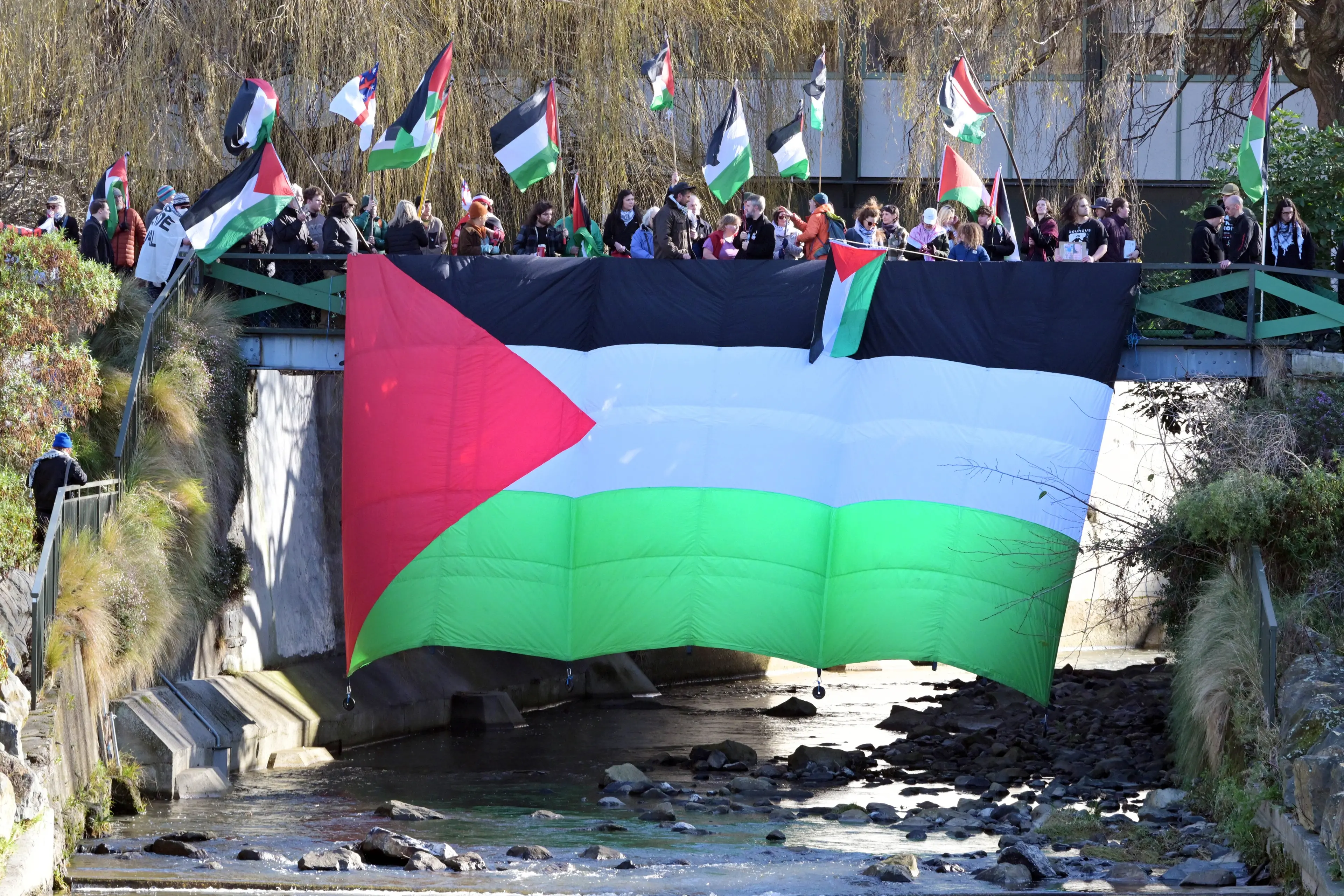 A giant Palestinian flag is hung from the Leith Street pedestrian bridge during a rally on Saturday protesting University of Otago\\u2019s joint Queenstown campus project with Palo Alto. Photo: Gerard O\\'Brien