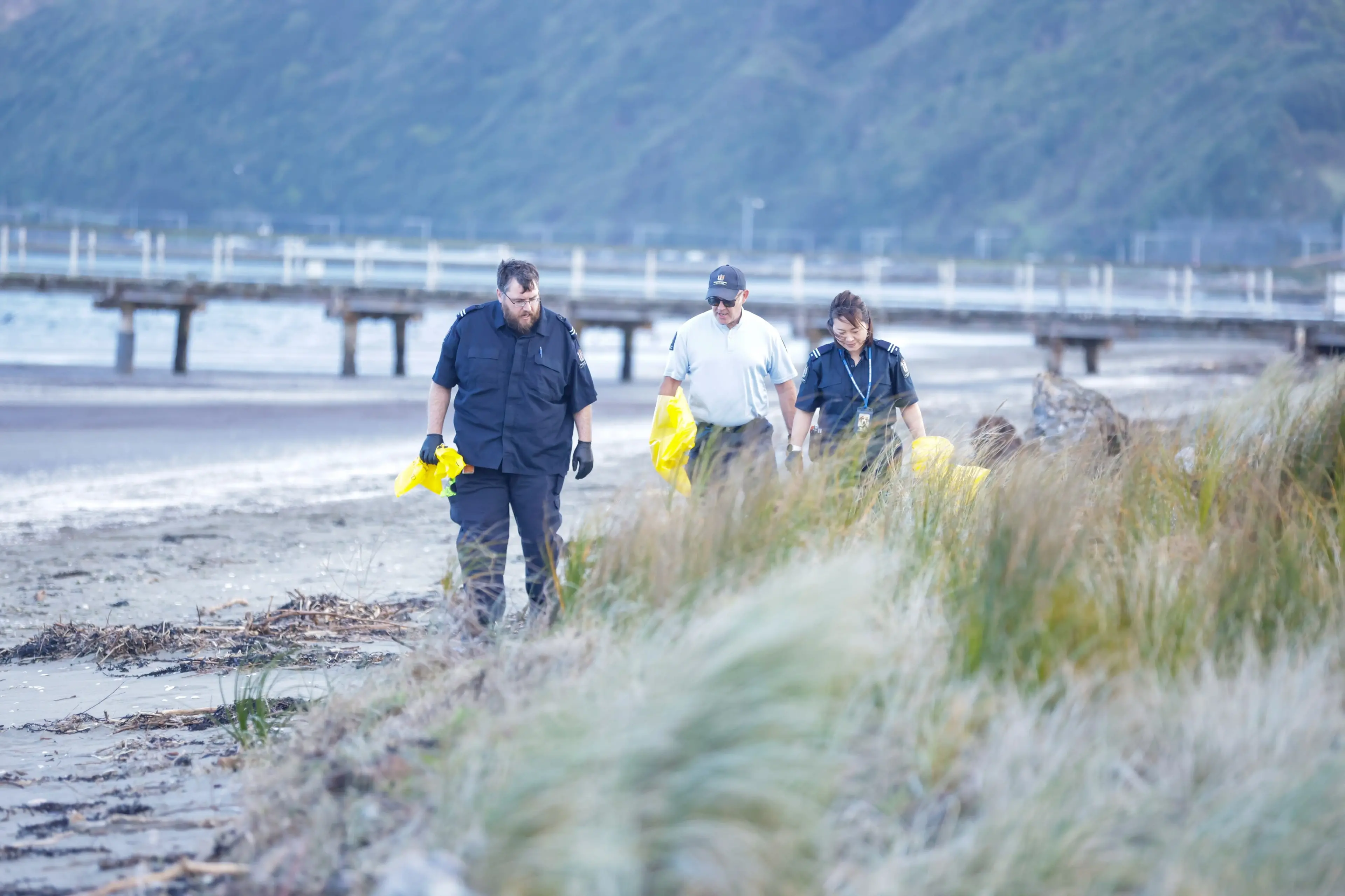 A single ocean-going seabird - a brown skua - returned a positive test for H5N1 bird flu after it was found on Petone Beach in Wellington last month. Photo: RNZ