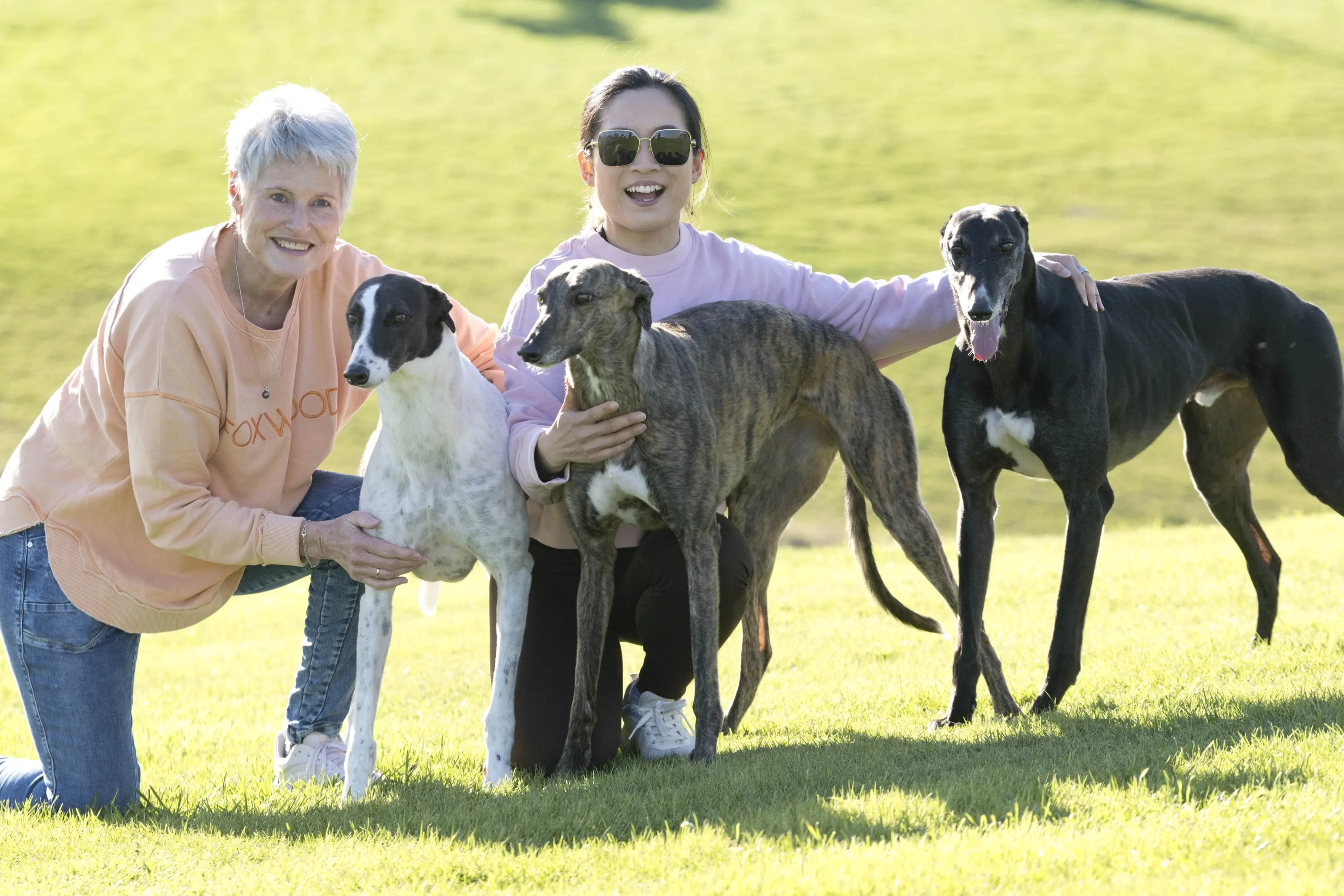 Janice Coldicott (left) and Valerie Tan with greyhounds (from left) Allie, Fern and Marshy. Photo: Gerard O\\'Brien