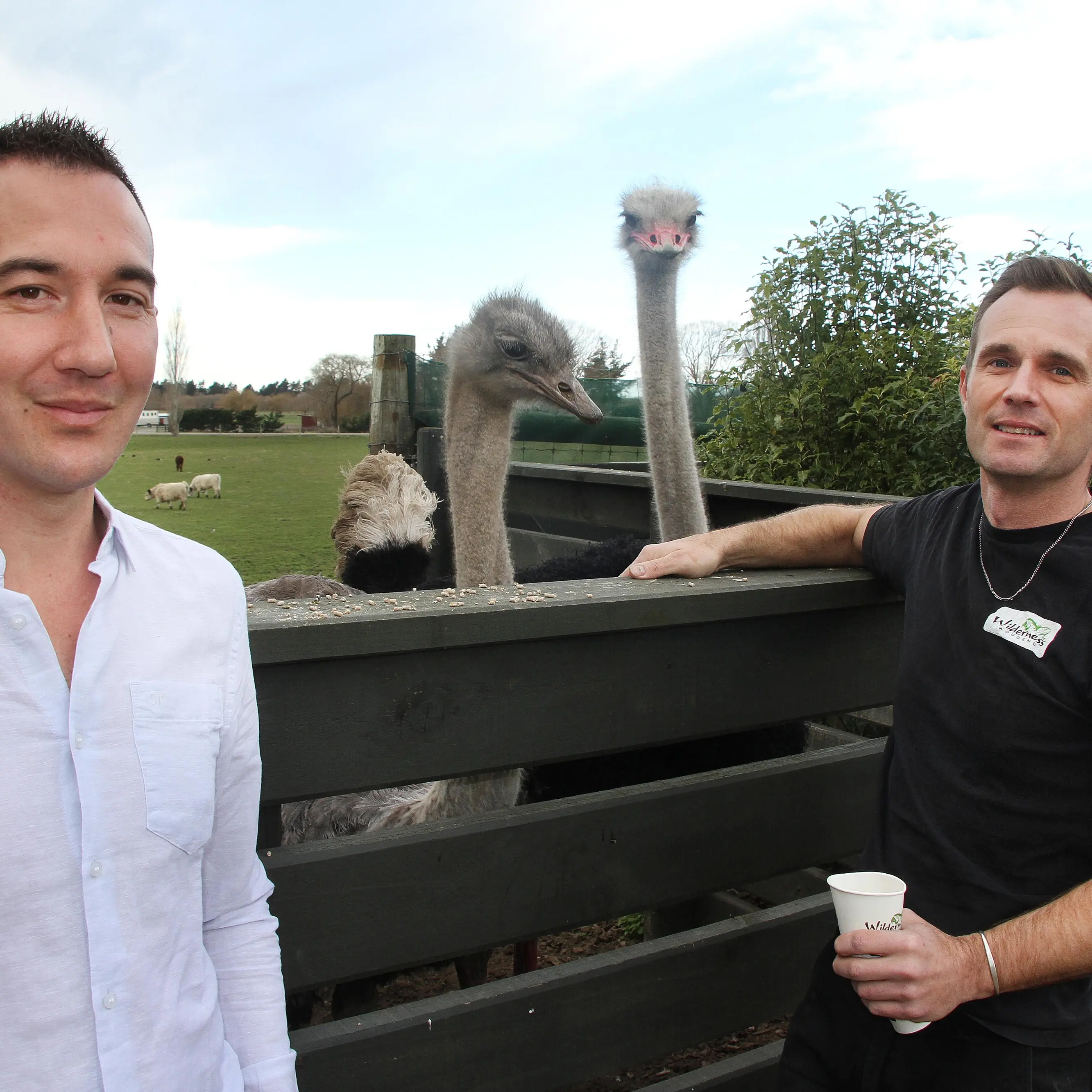 Living the dream is the lure of lifestyle block ownership