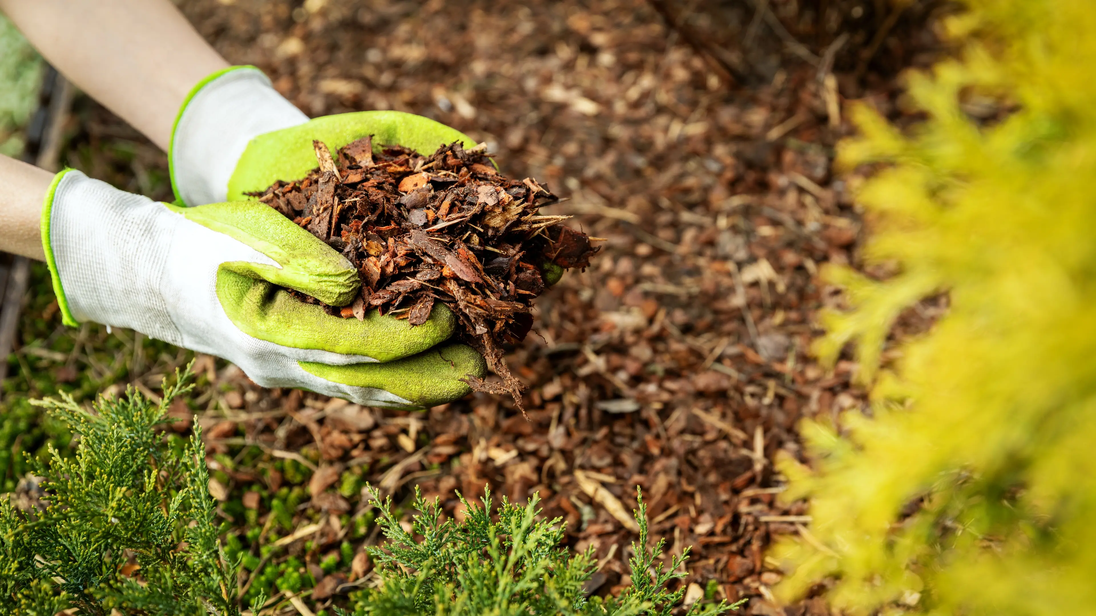 Mulch glues have their drawbacks