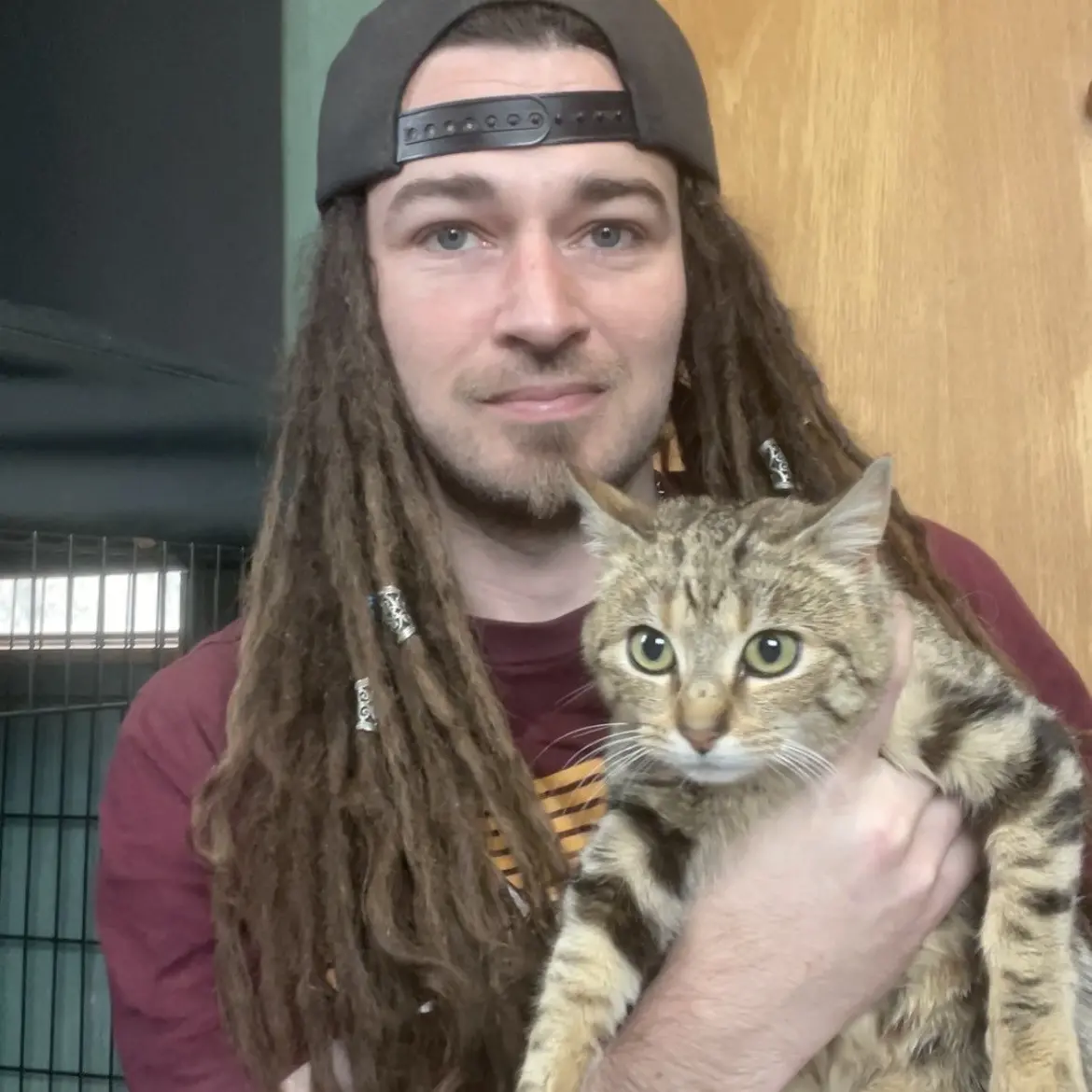 Kitten lands on its feet after social media drama