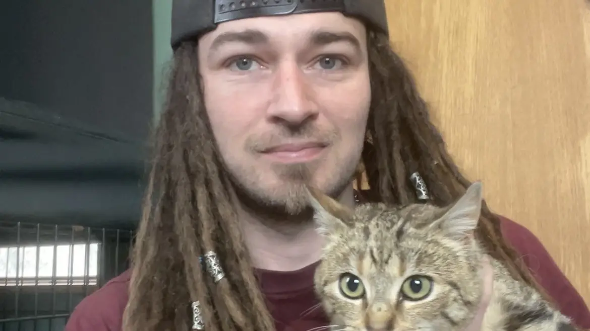 Kitten lands on its feet after social media drama