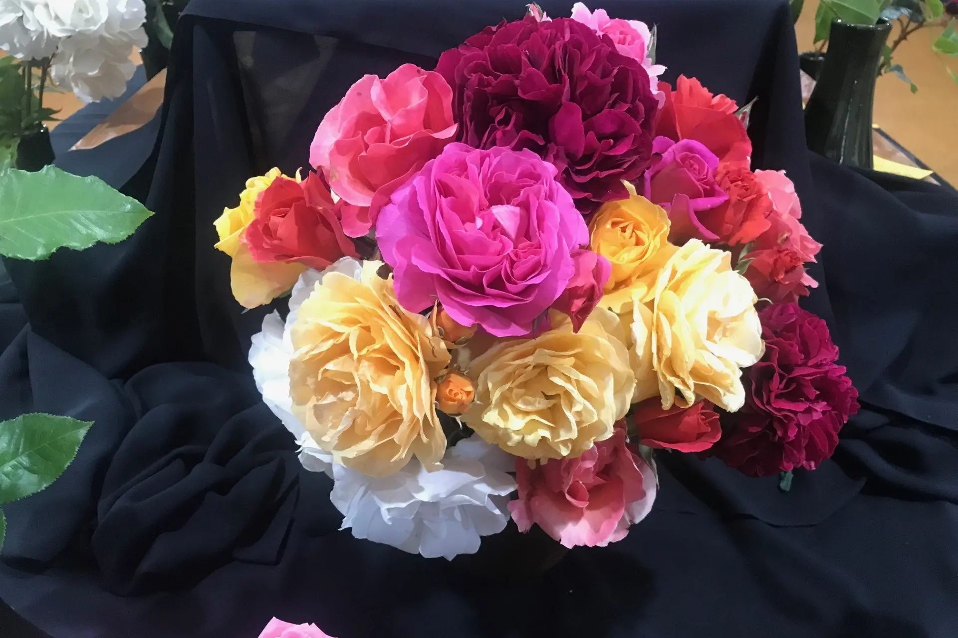 The Otago Rose Society will be among many local garden groups meeting in the next week. Photo: Star files