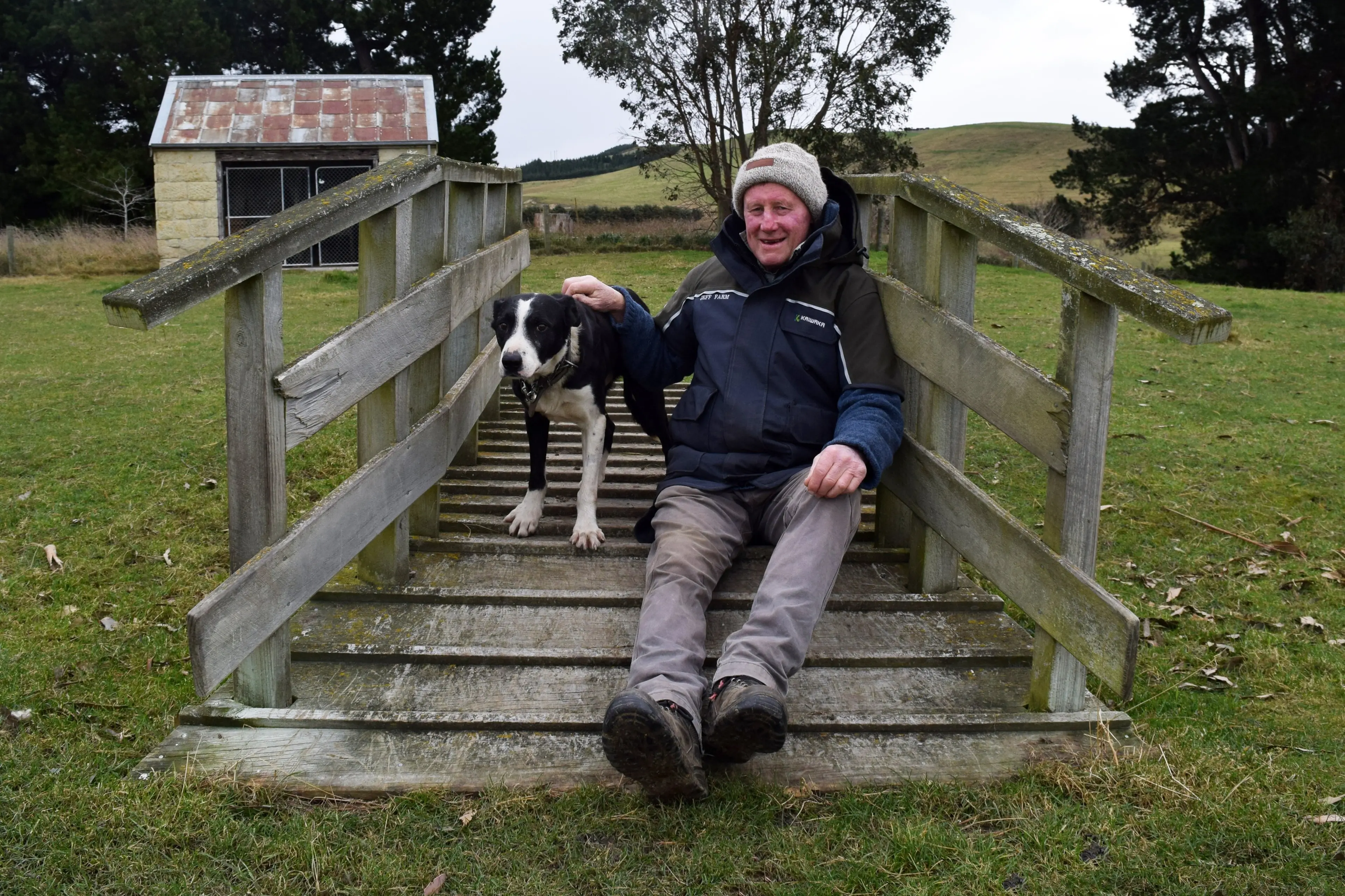 New Zealand transtasman test team member Lloyd Smith, of Palmerston, and his heading dog Guide are on their way to Queensland to attempt to regain the Wayleggo Cup from Australia between August 28 and 30. Photo: Shawn McAvinue