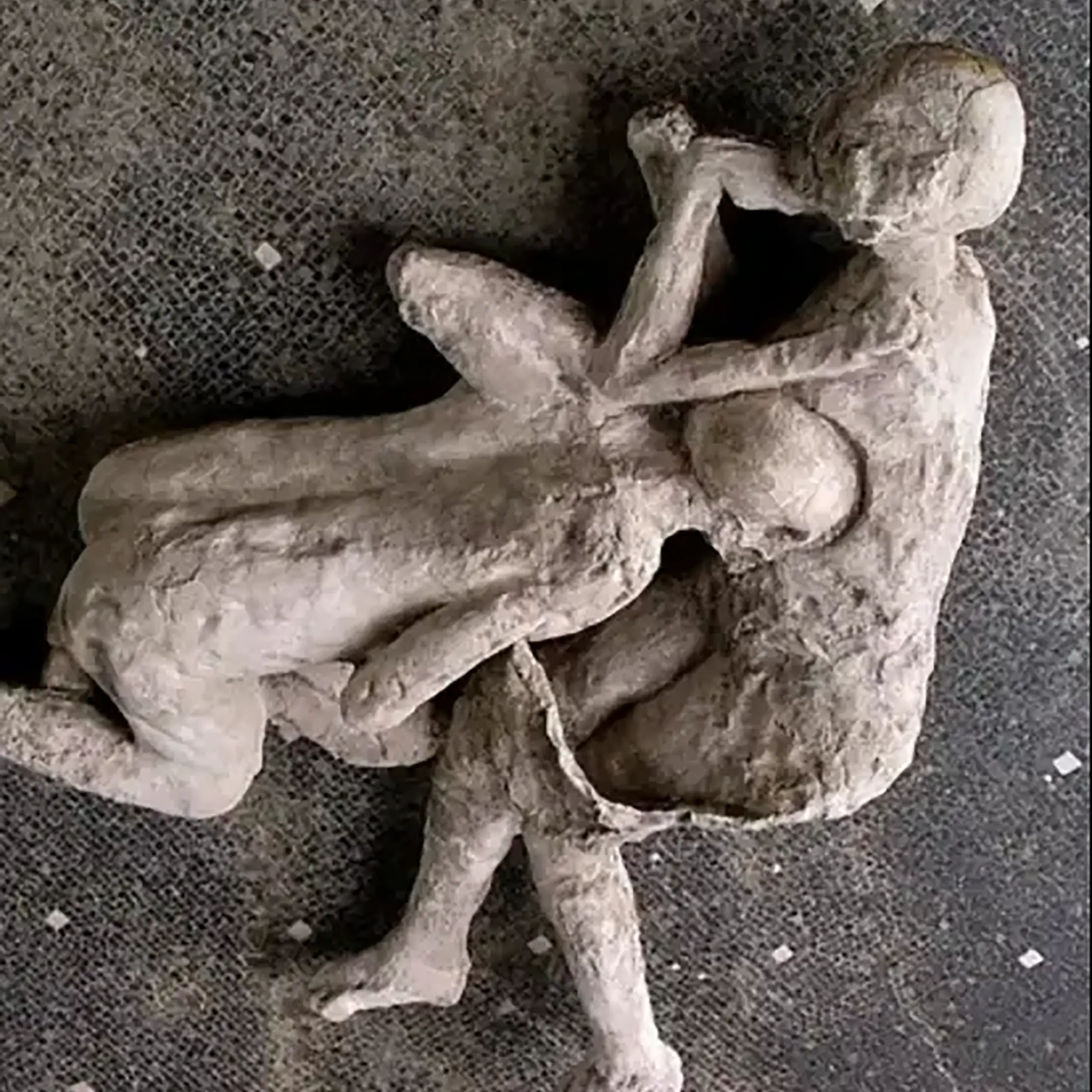 No detail spared in prize-winning book on Pompeii