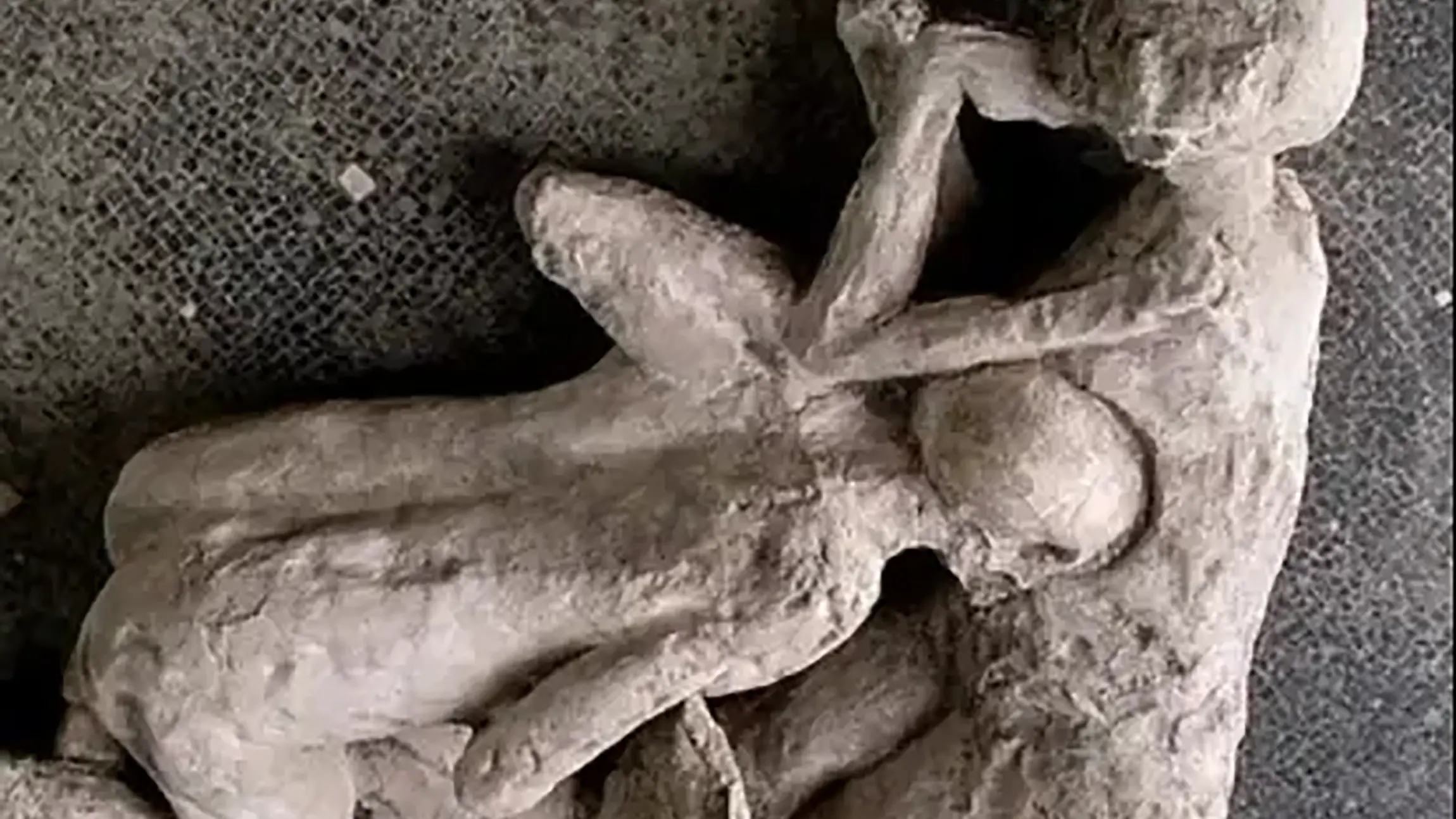 No detail spared in prize-winning book on Pompeii