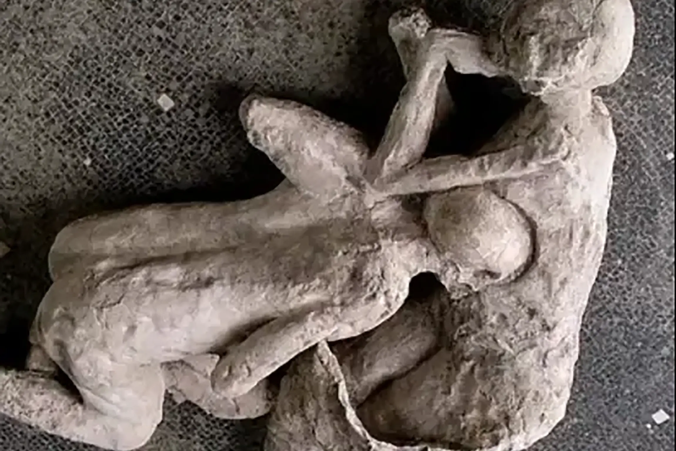 Two victims of Vesuvius at Pompeii huddle together in death. Photo: Supplied