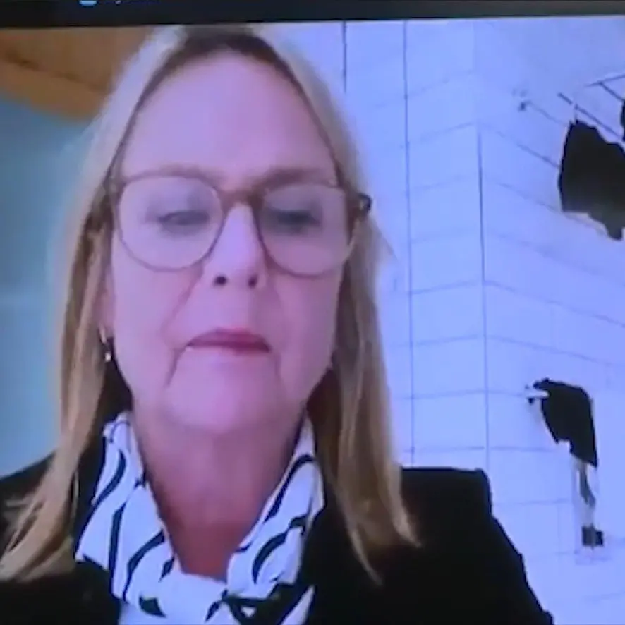 Councillor beaming in from bathroom gets international exposure
