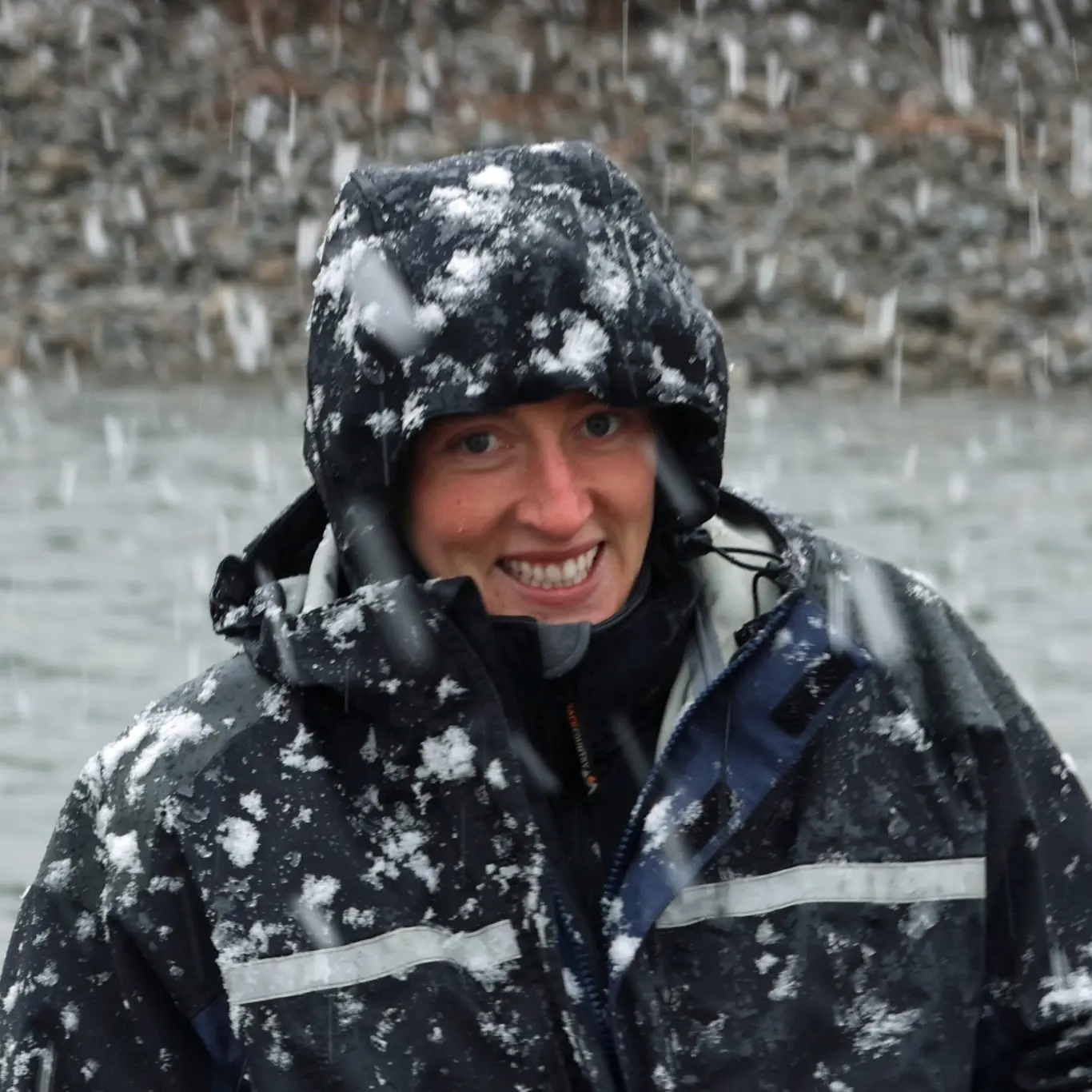 Trapping pests in a snowstorm