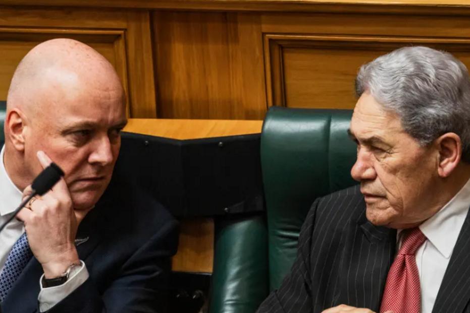 Peters pans PM’s referendum pledge as ‘power grab’