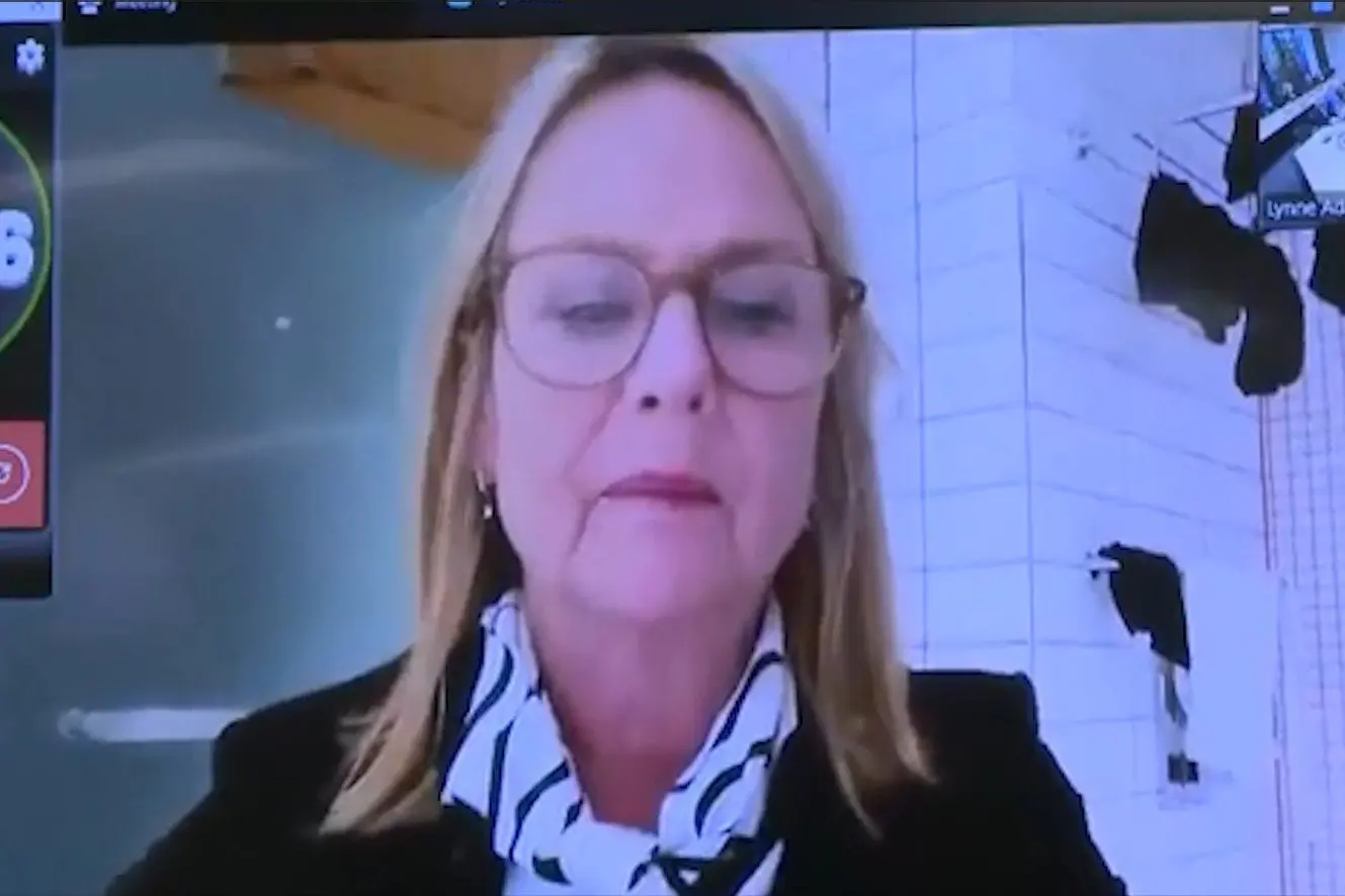 Cr Jo Galer and some washing appear at a DCC meeting via zoom from Glasgow on Monday.