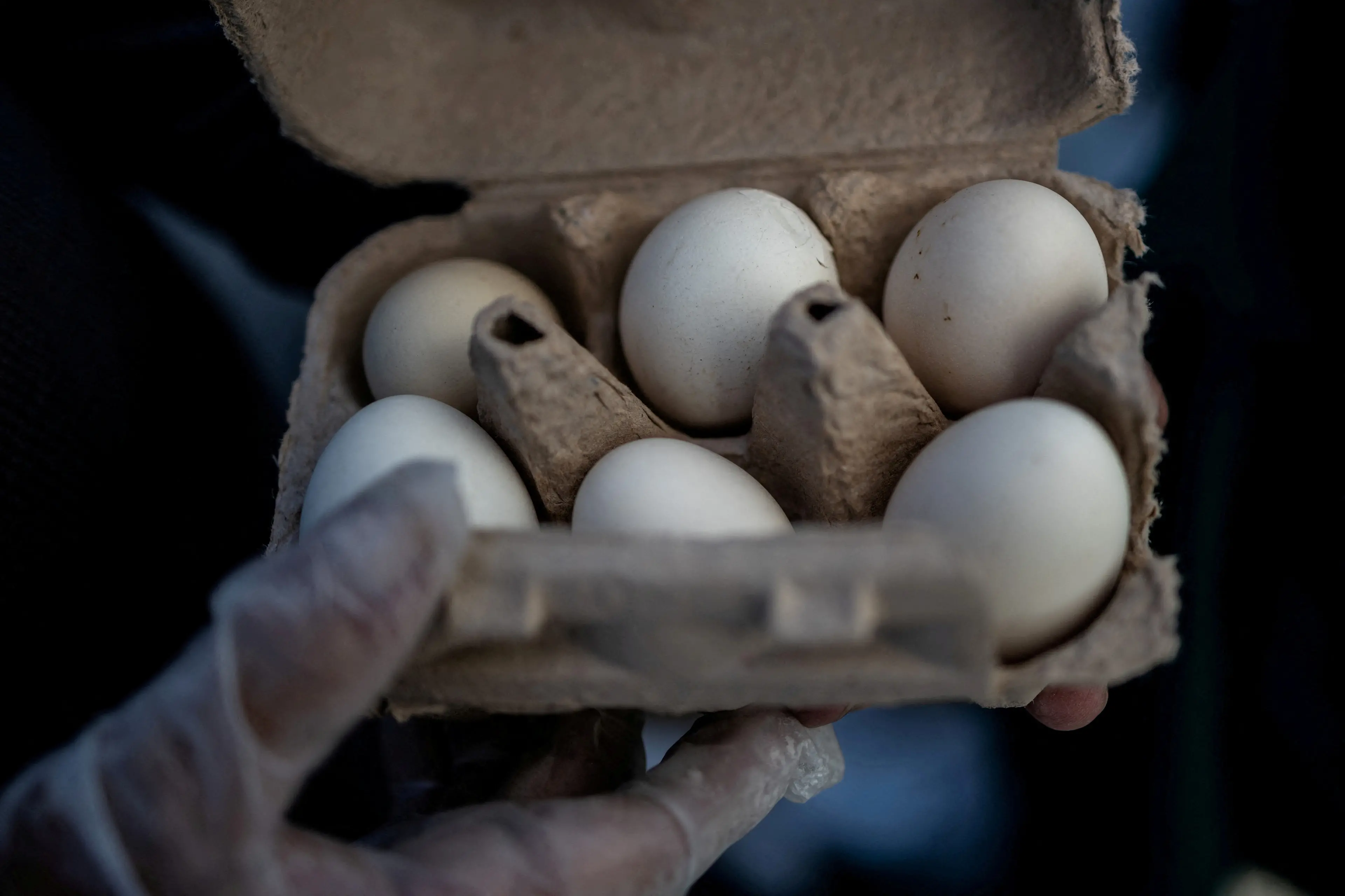 File photo: Reuters