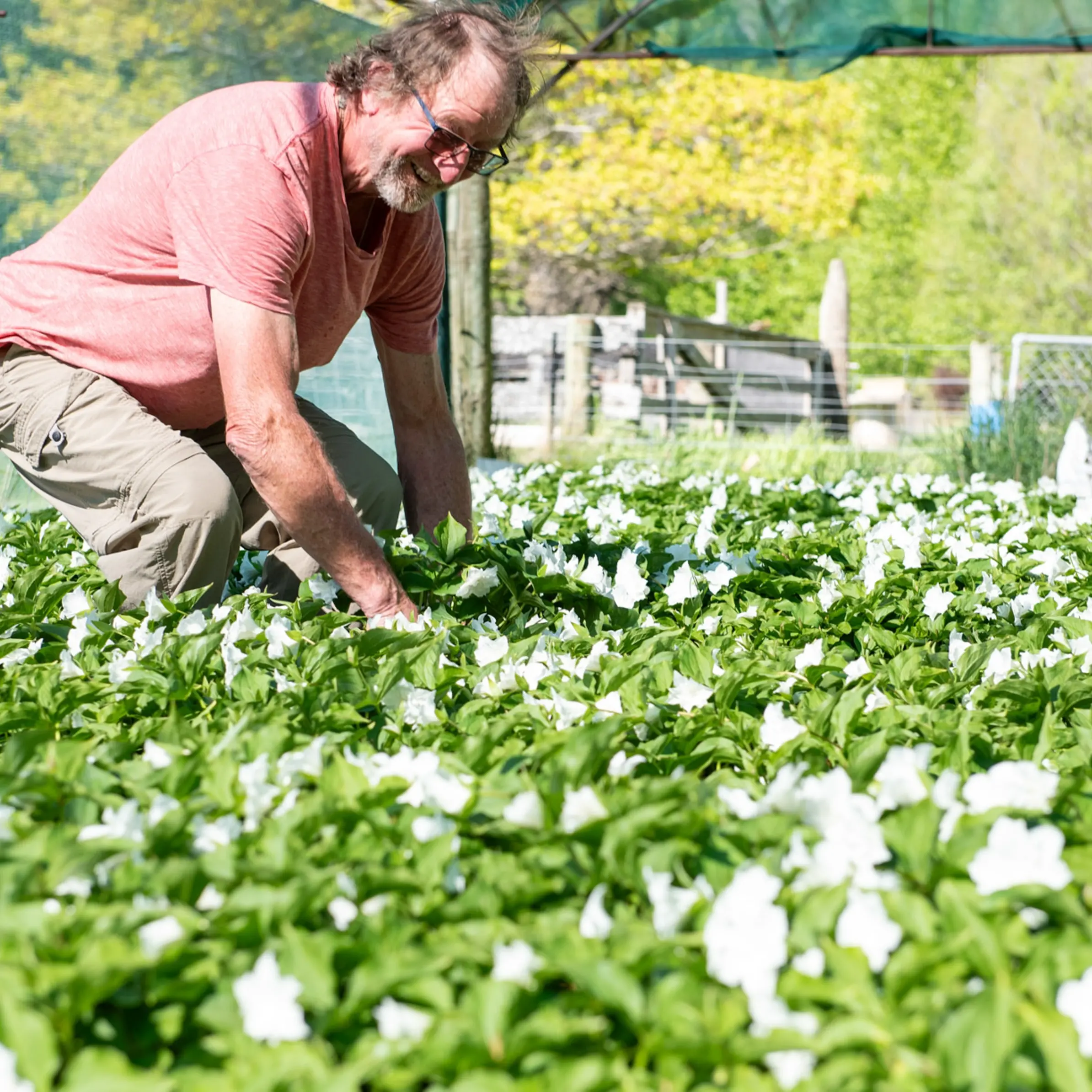 Flower farmer set to retire