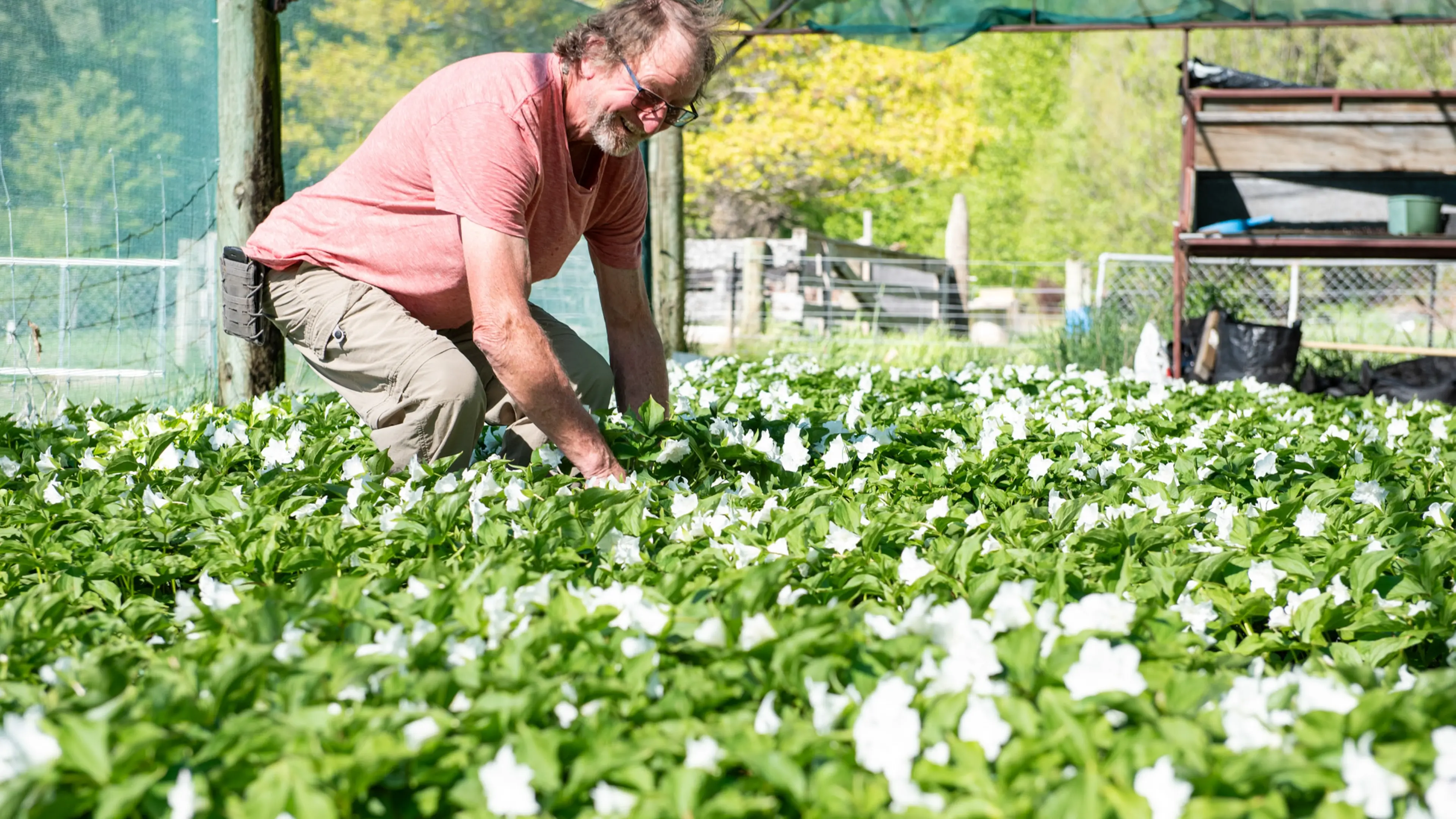 Flower farmer set to retire