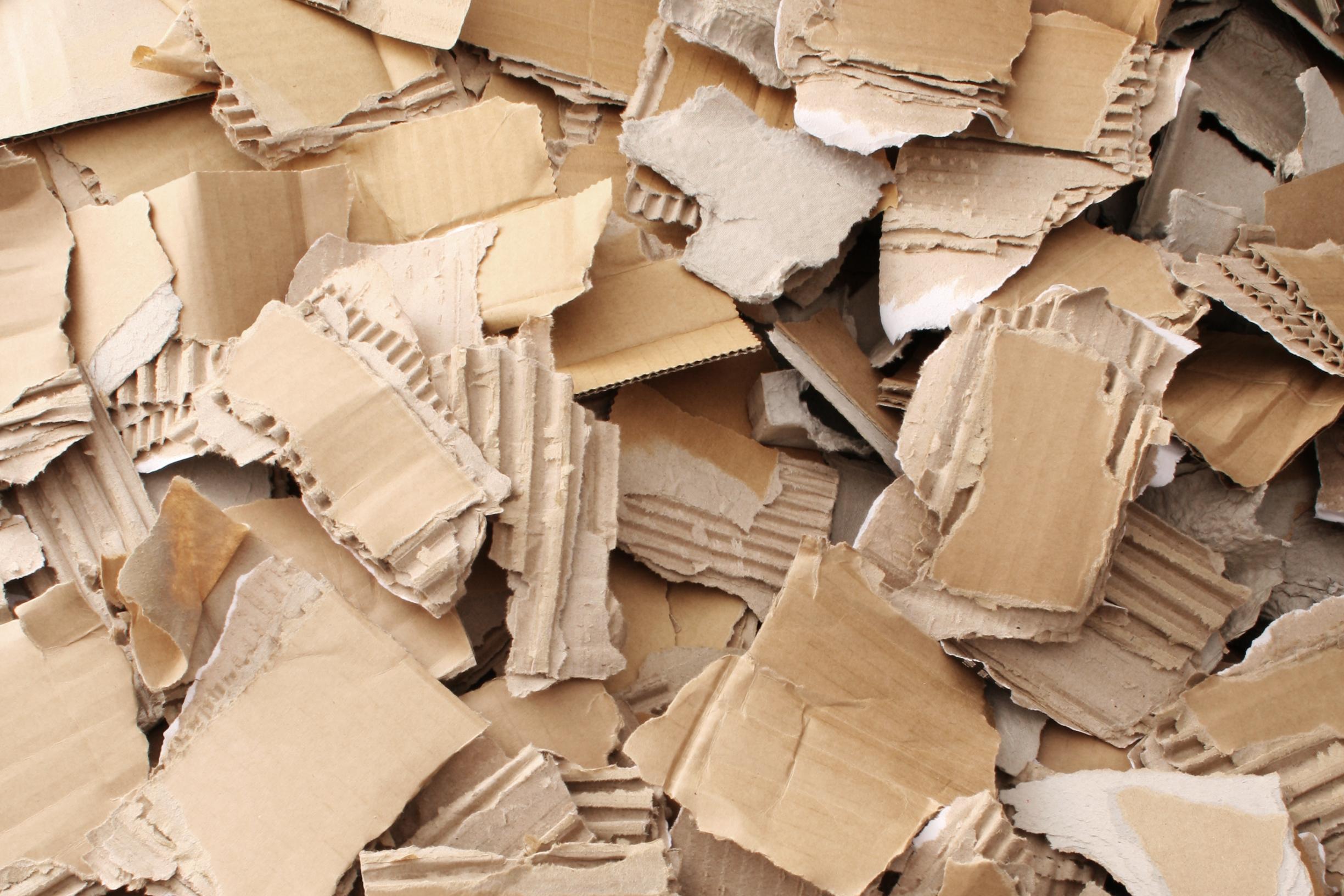 Tastes like cardboard: Gore dealer’s fake LSD fails the acid test