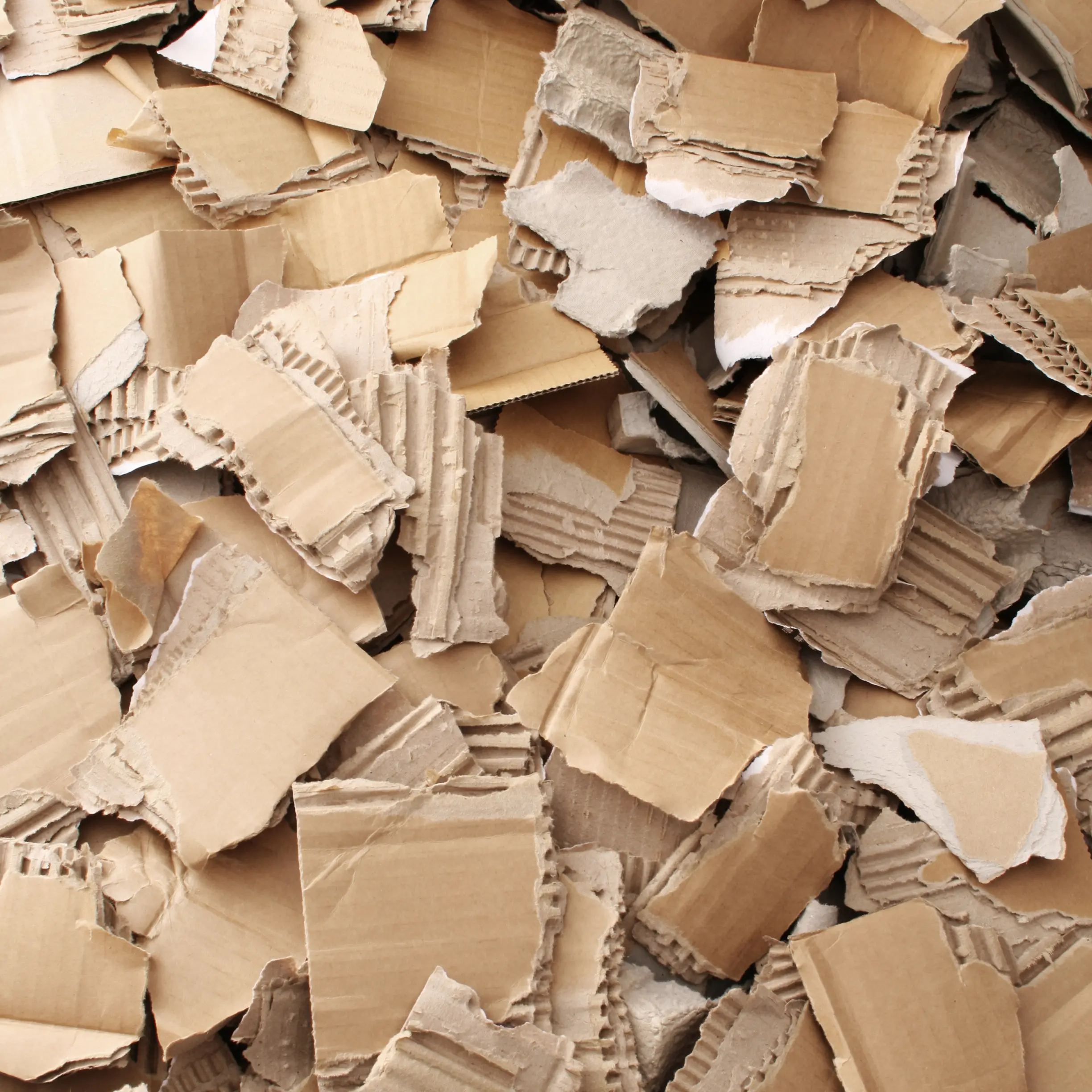 Tastes like cardboard: Gore dealer’s fake LSD fails the acid test