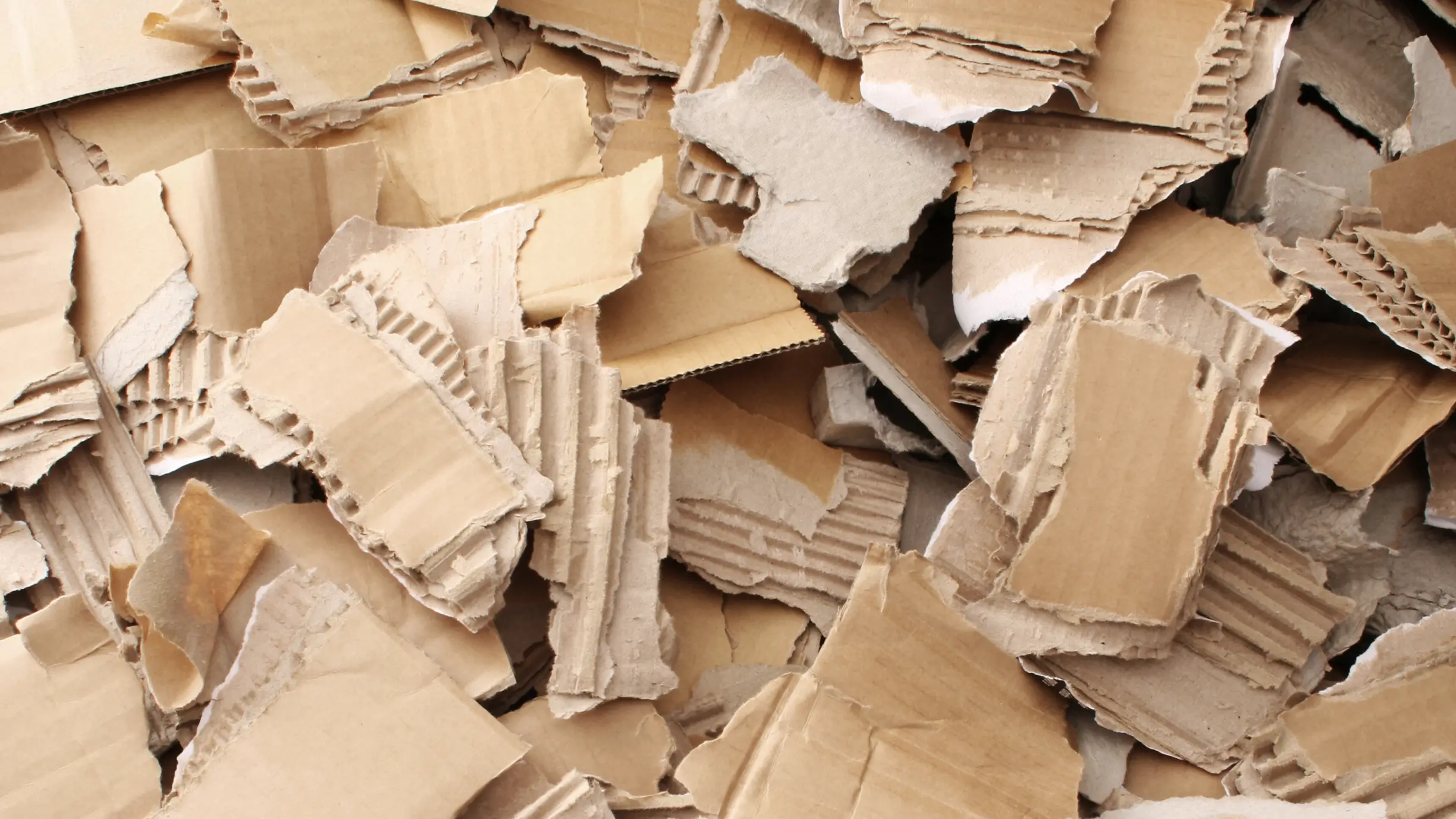 Tastes like cardboard: Gore dealer’s fake LSD fails the acid test