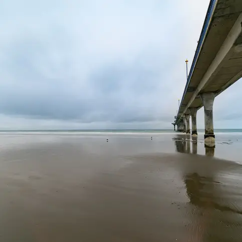 ‘She was someone’s daughter, friend’: Homeless woman found sleeping under pier dies in hospital