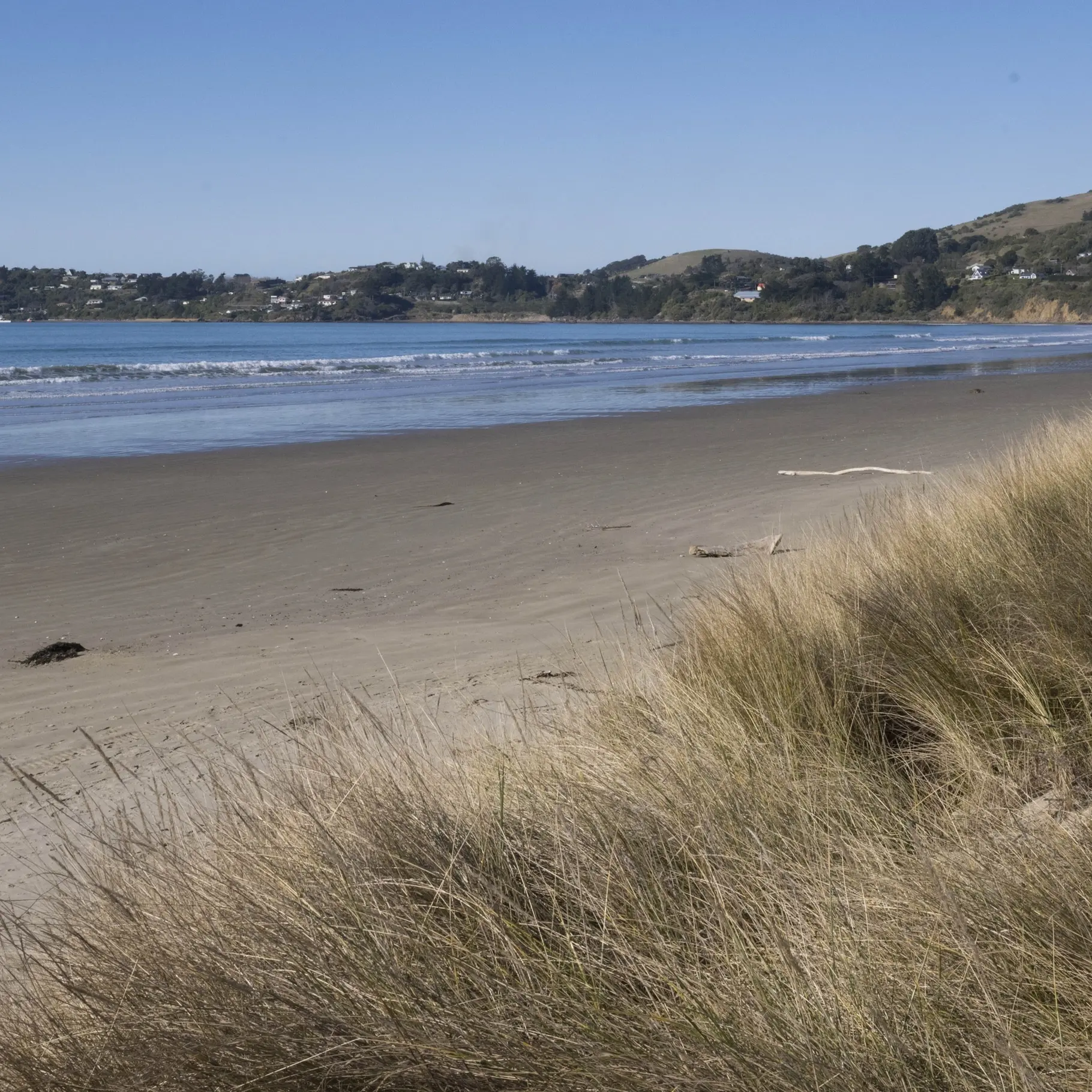 Two-year shellfish closure at Moeraki