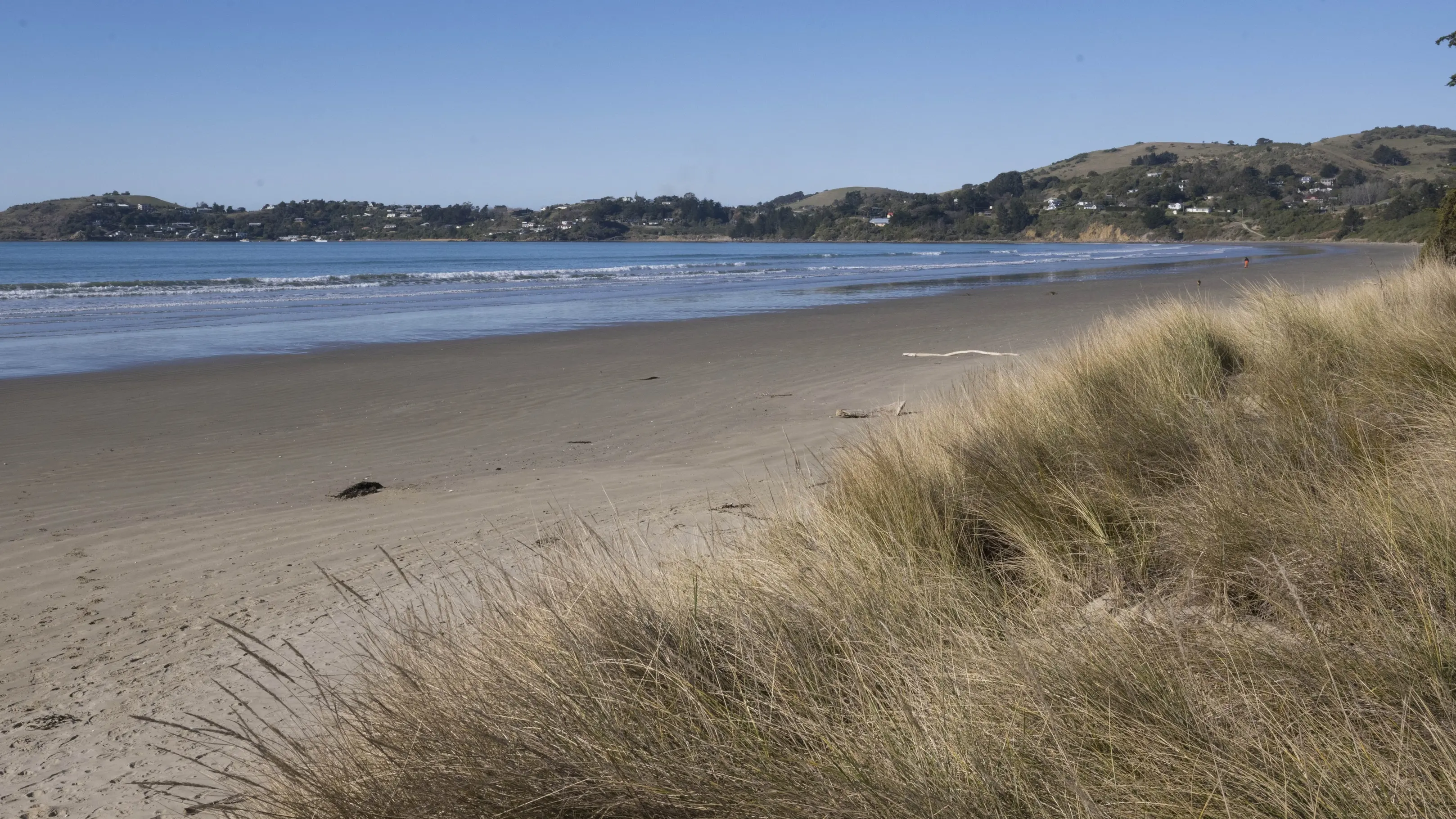 Two-year shellfish closure at Moeraki