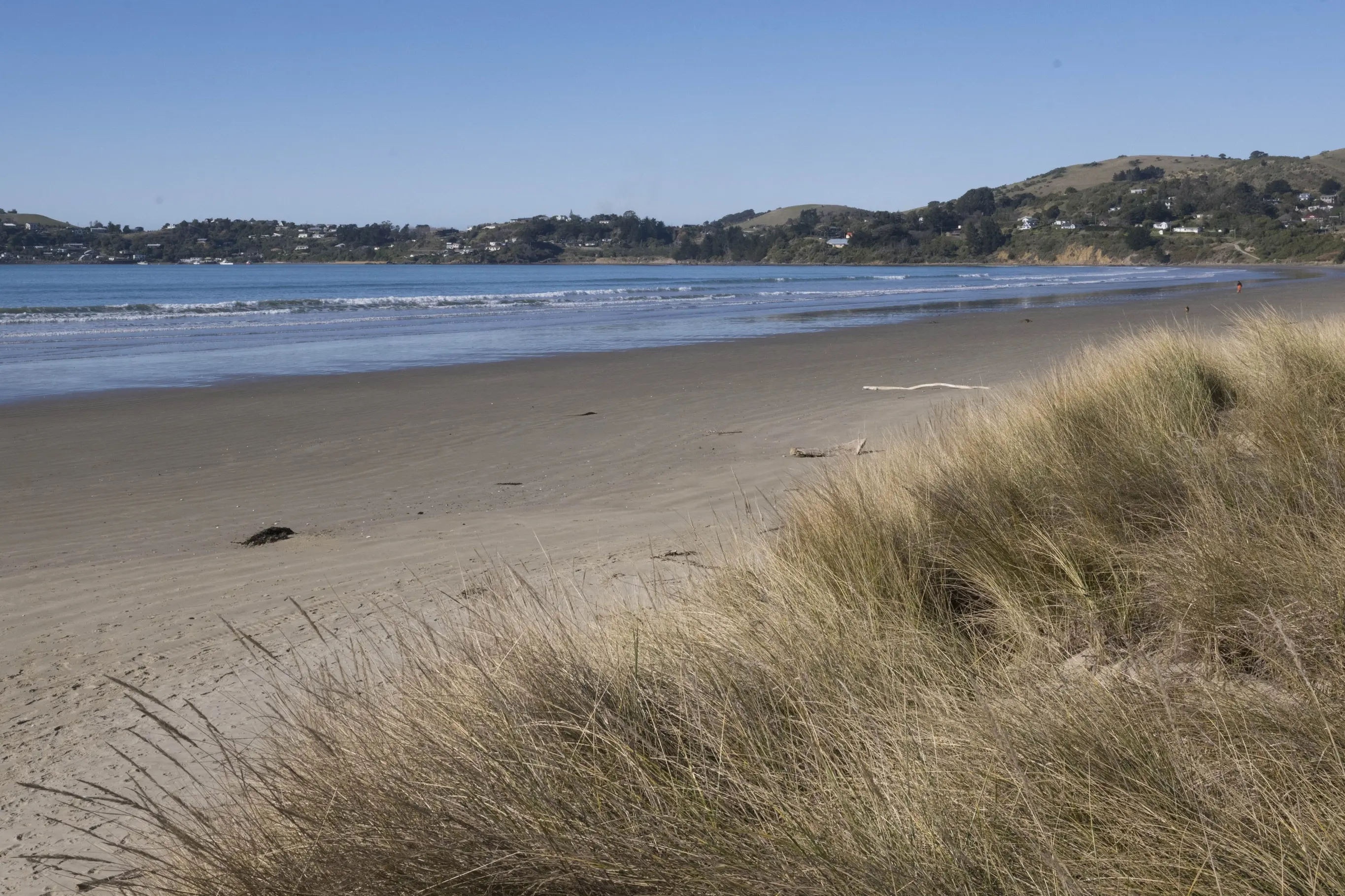 Moeraki Beach is part of a shellfish closure area. Photo: Gerard O\\'Brien