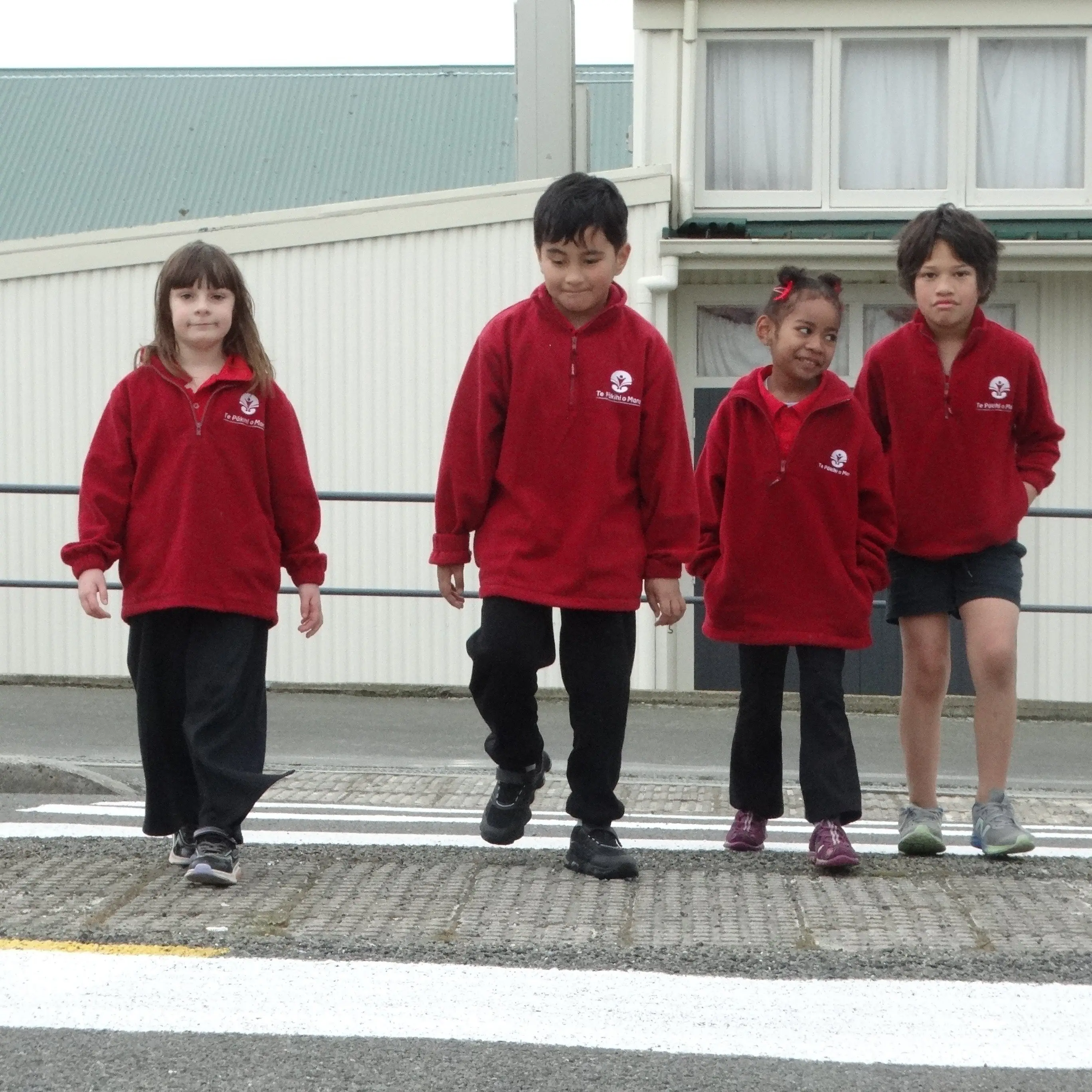New pedestrian crossing for school