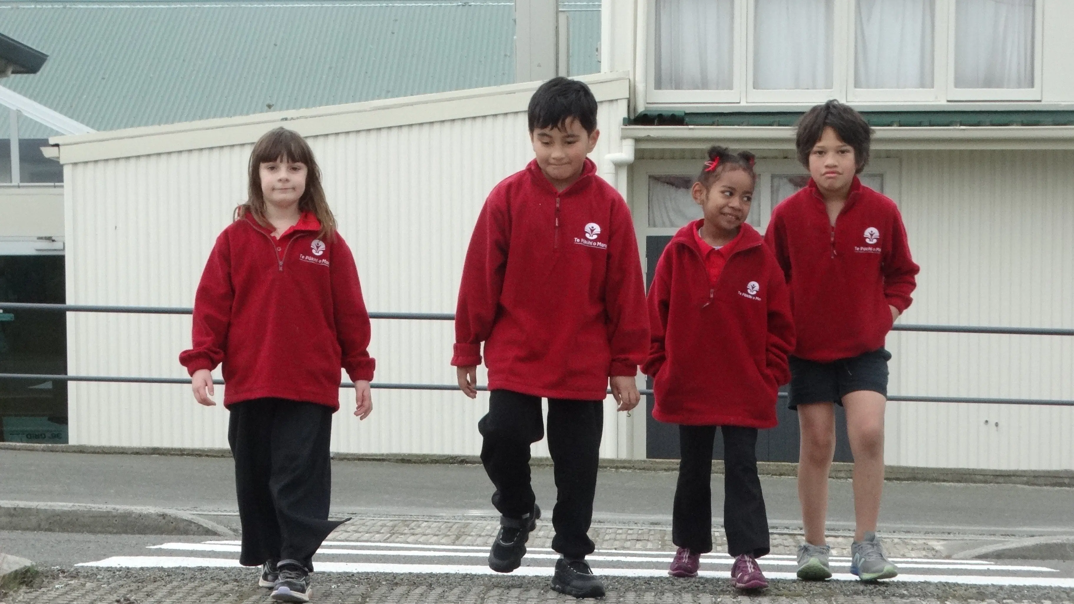 New pedestrian crossing for school