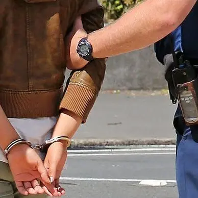 New citizen's arrest powers 'putting retail staff in harm's way'