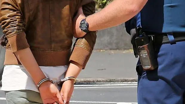New citizen's arrest powers 'putting retail staff in harm's way'