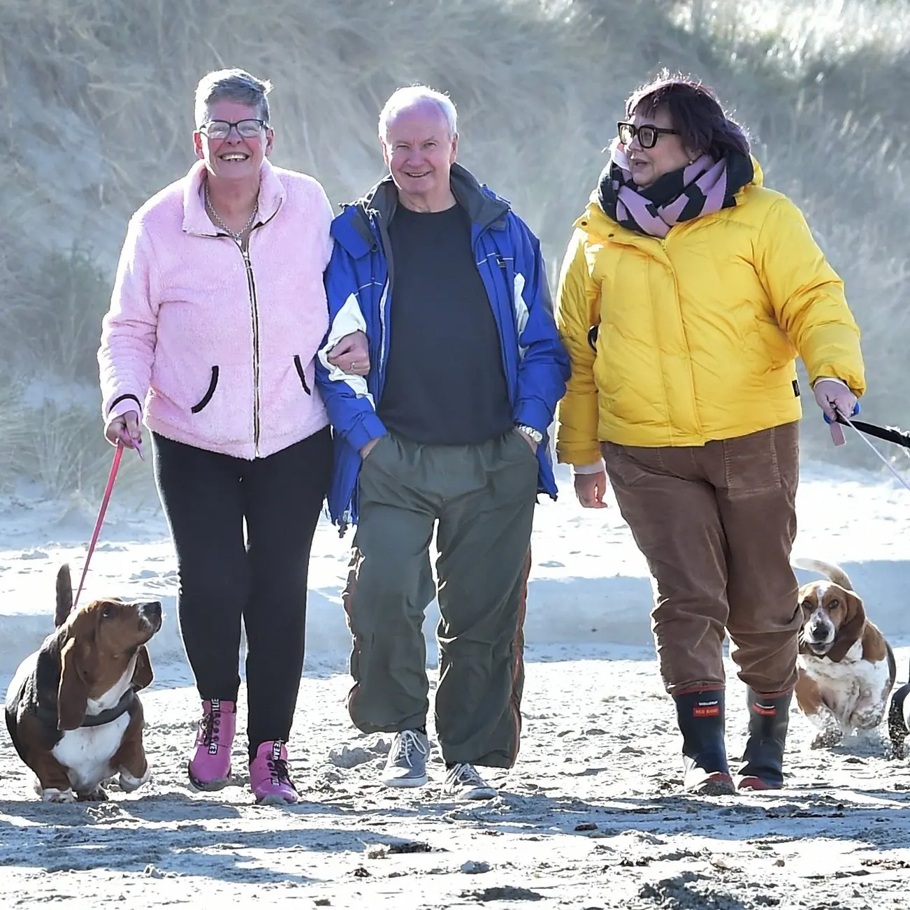 Weekly walks unite Dunedin’s scarce basset hound population