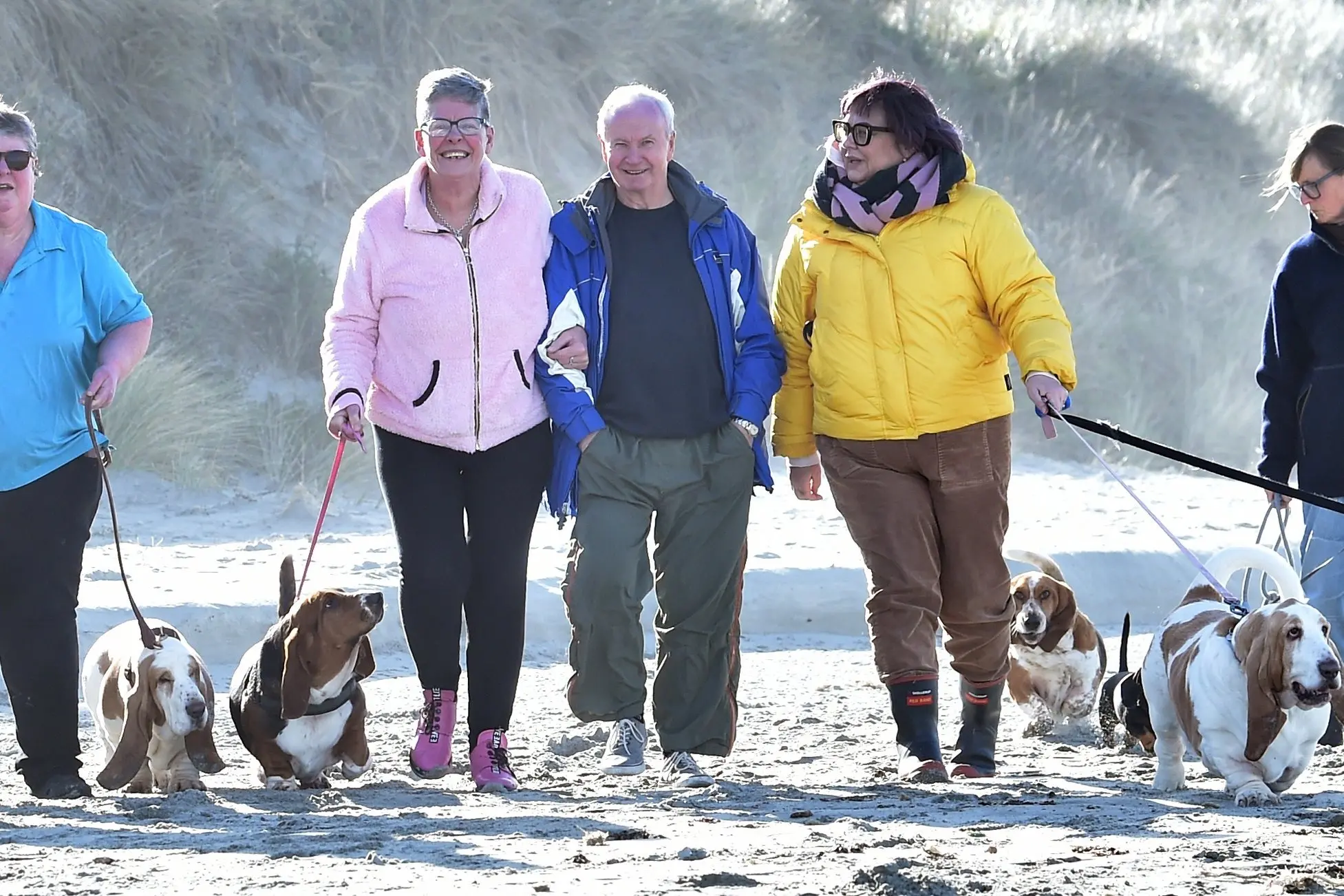 Taking their basset hounds for a walk along Brighton Beach on Saturday were (from left) Lochlan Armstrong with Winston, Janette Armstrong with Bruce, Shona Brockie with Winnie, Jimmy Wilson, Rachel England-Brassy with Parsley, Lollipop and Swedish vallhund Bluebell, and Louise Ashton with Nellie Bassett and the dachshund Floyd Franklin. Photo: Peter McIntosh