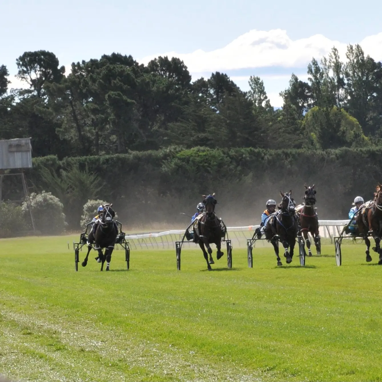 Project Stamina delivers good news for Rangiora Harness Racing Club