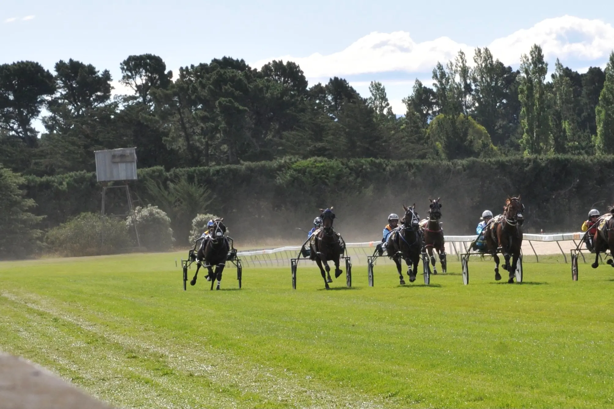 In the homestraight . . . Race Images photographer Ajay Berry lines up runners in the Tyre General Amberley Pace heading for the finish line during a past Amberley Trotting Club\\'s Waitangi Day meeting at Rangiora Racecourse, with the eventual winners John Dunn and I\\'m Your Huckleberry, far right, leading the way. PHOTO: SHELLEY TOPP