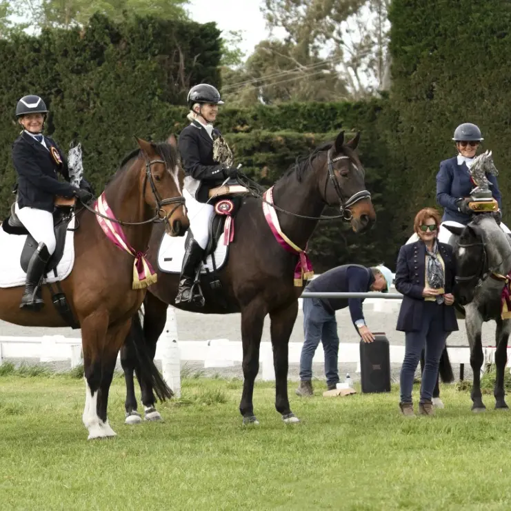 Dressage extravaganza at Rangiora Showgrounds this Sunday