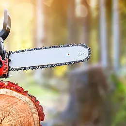 Southland tree-felling death highlights risks of DIY: Coroner