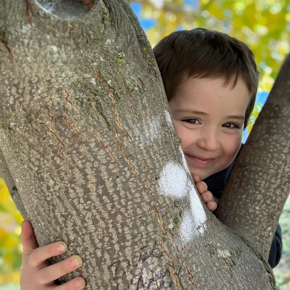 Kiwi Park rallies for Dylan