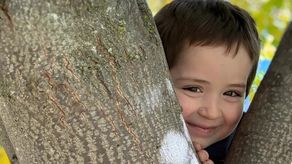 Kiwi Park rallies for Dylan