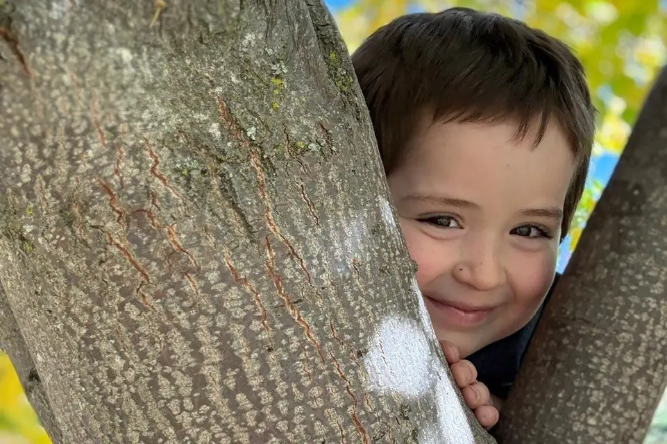 Little fighter: Queenstown 5-year-old Dylan Yallop. Photo: Supplied