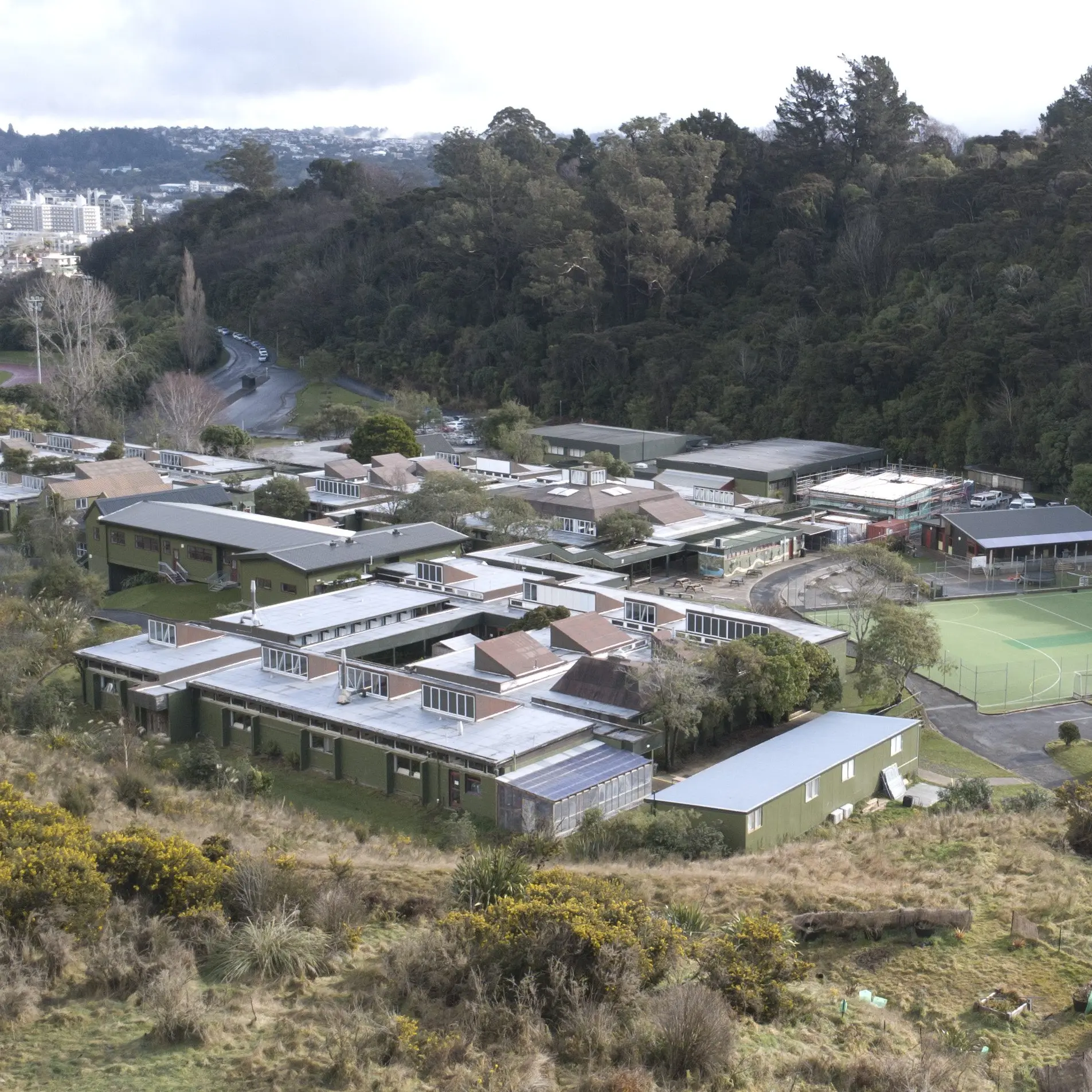 Dunedin school jumps at chance for solar panels