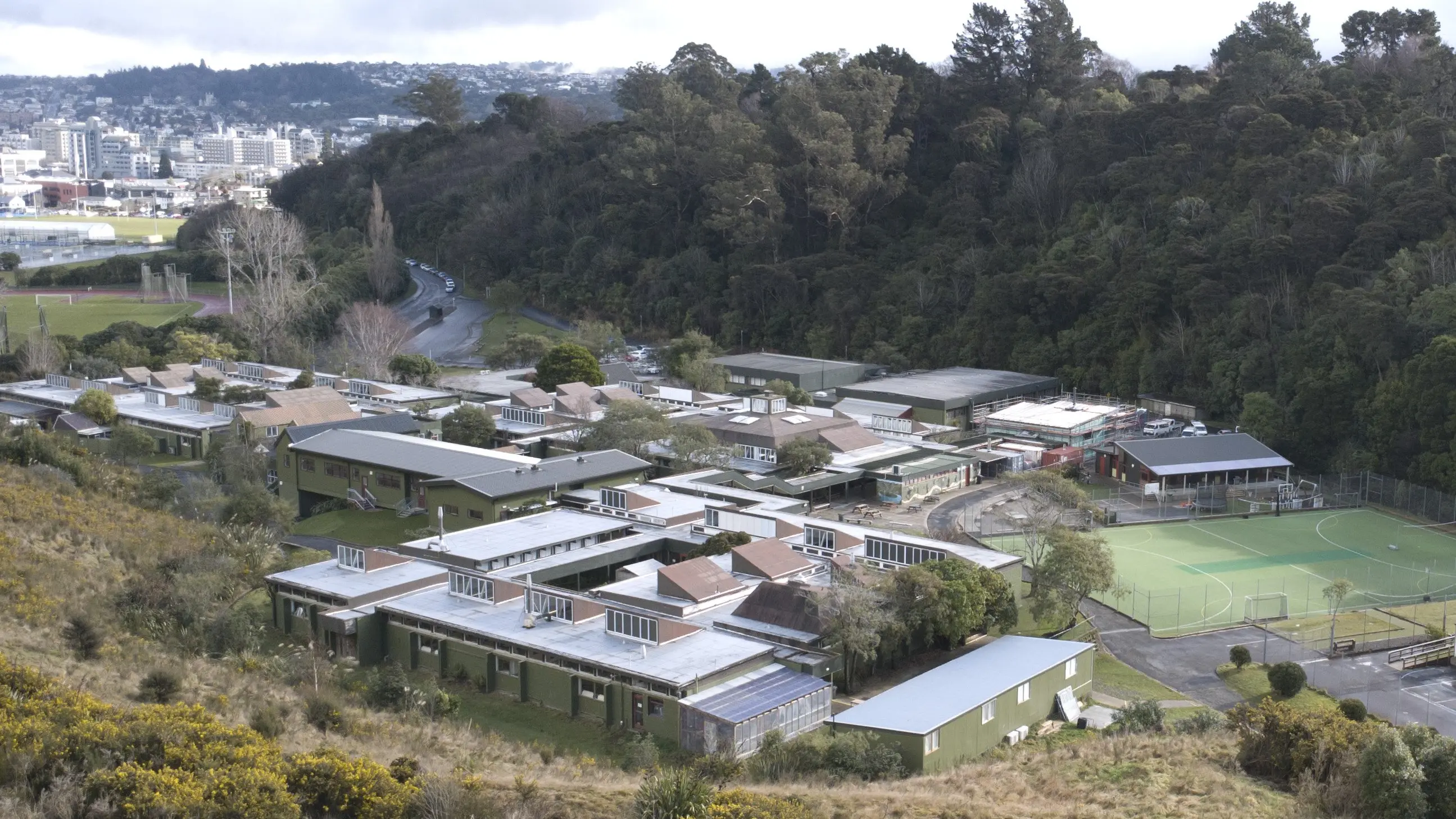 Dunedin school jumps at chance for solar panels