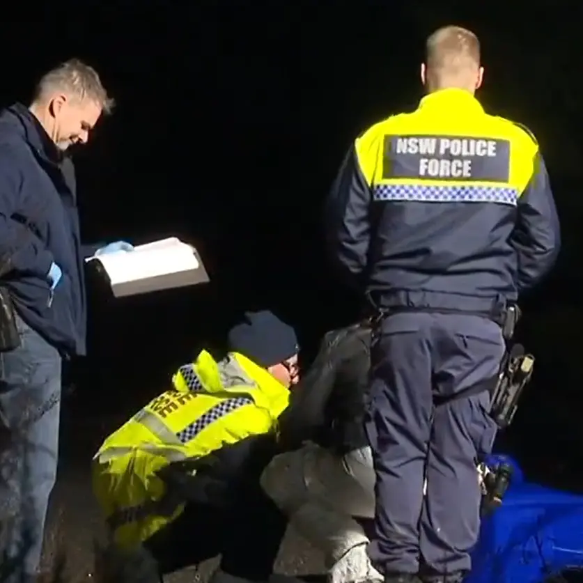 ‘Human remains’ found in suitcase actually sex doll
