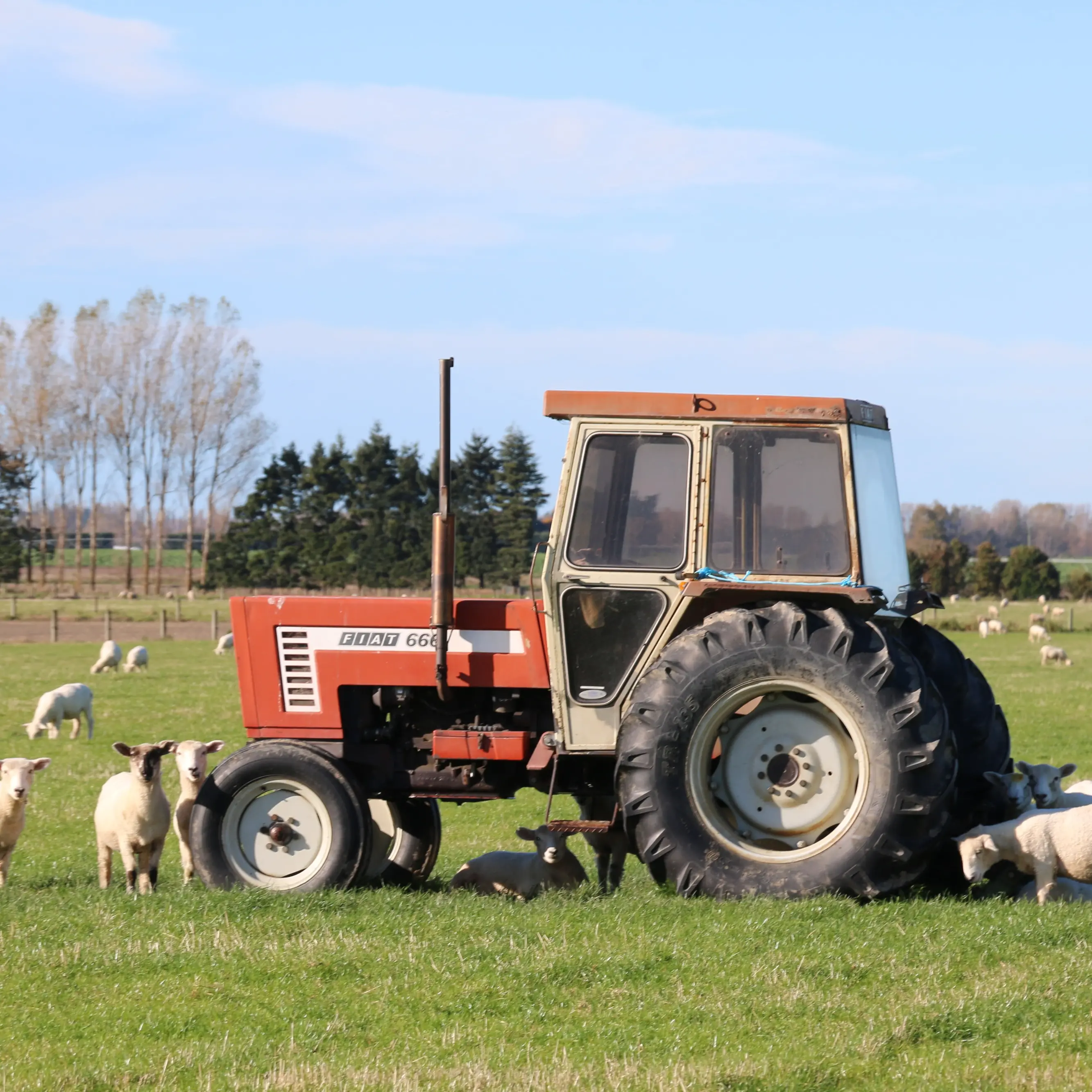 Younger buyers showing interest as thousands of farmers approach retirement