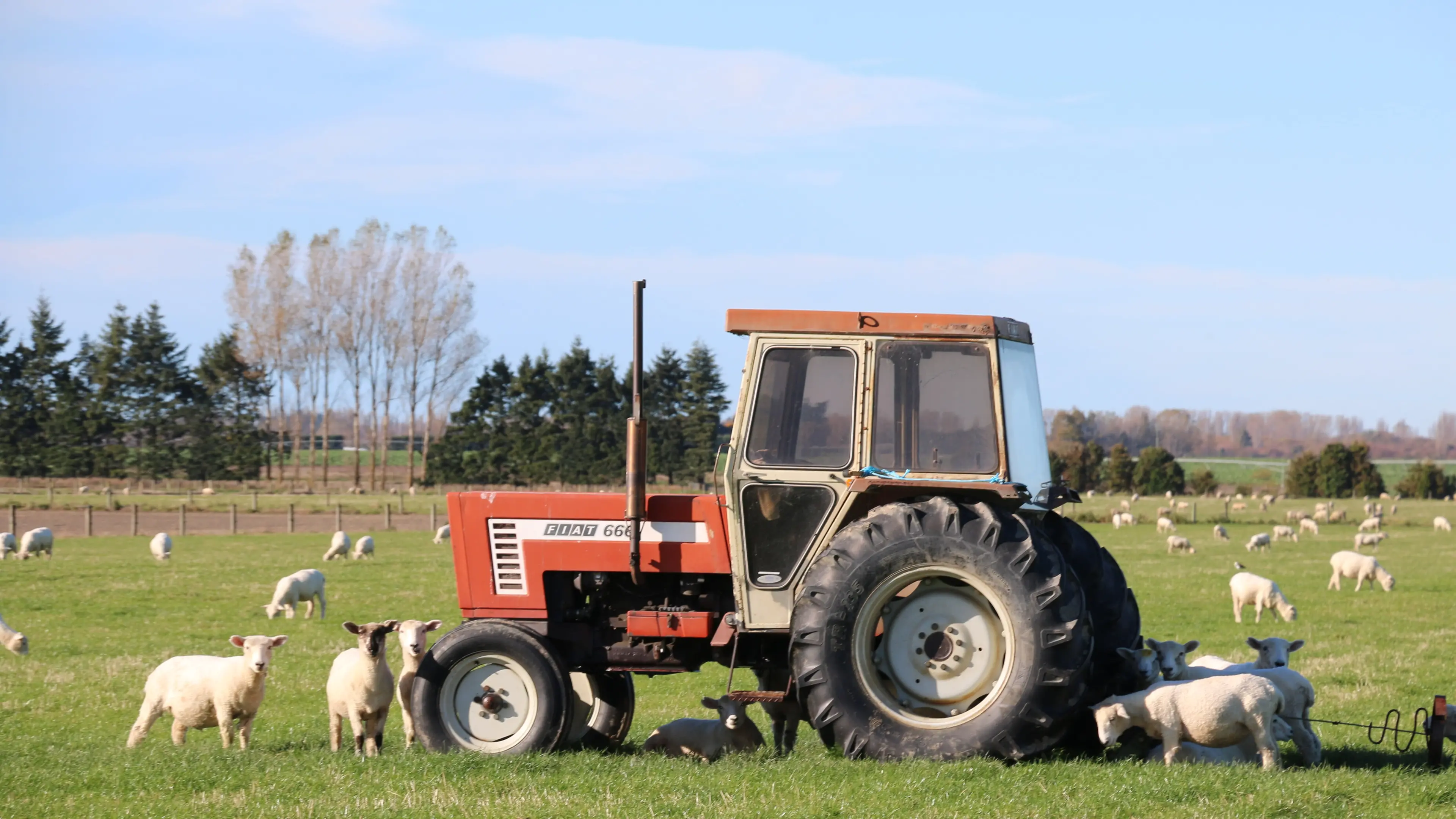 Younger buyers showing interest as thousands of farmers approach retirement