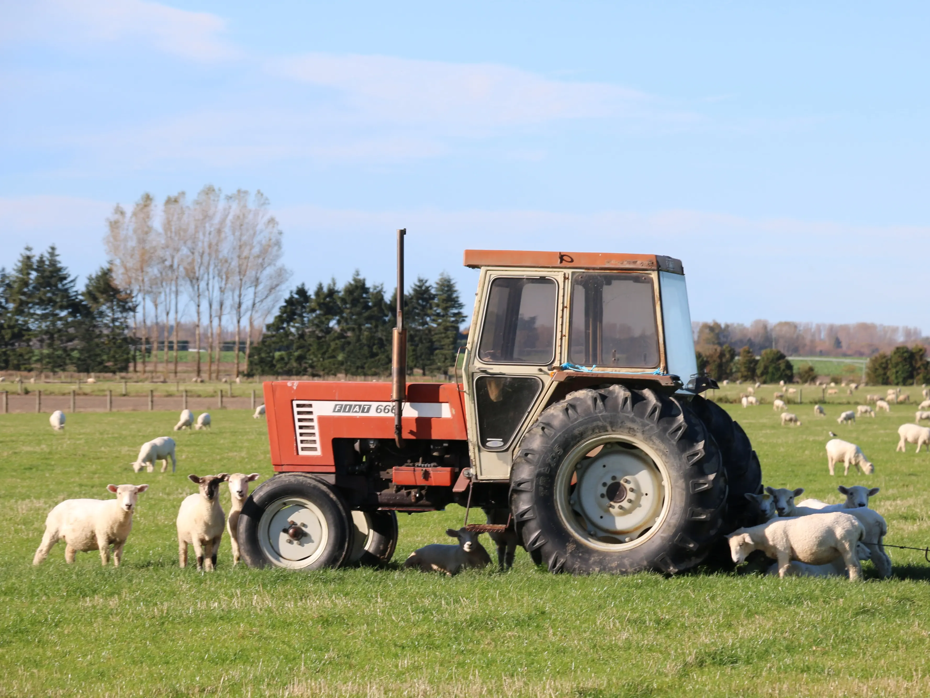 Younger buyers showing interest as thousands of farmers approach retirement