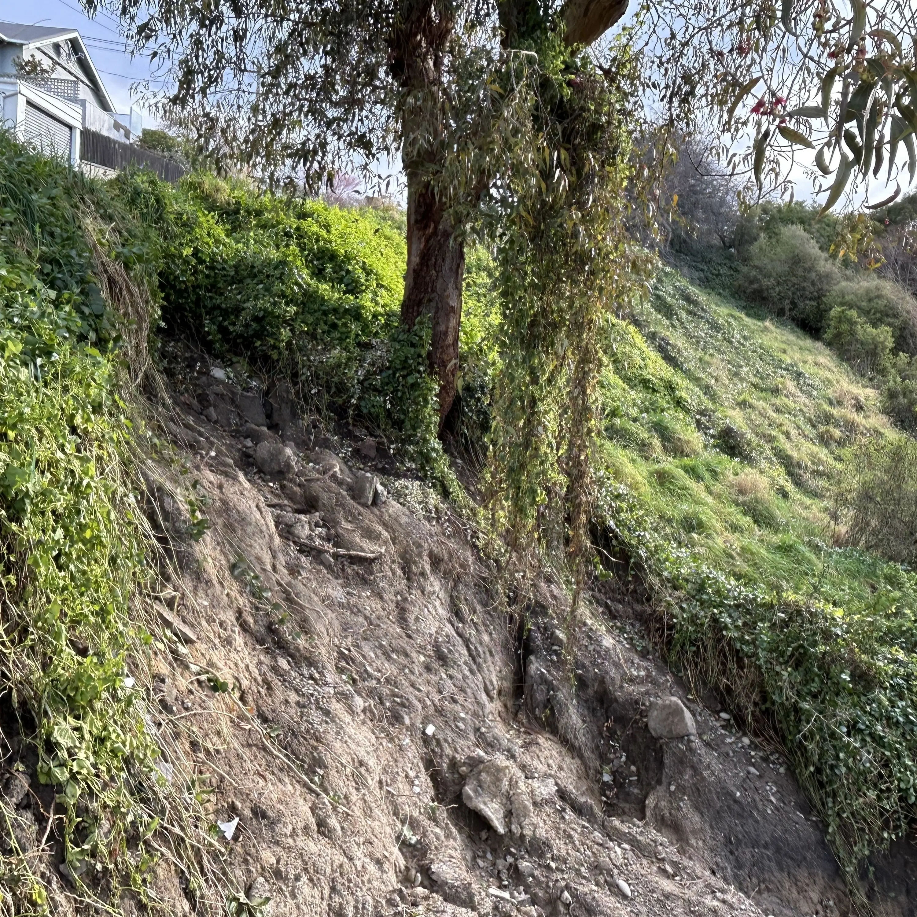 Landslips occurred in unexpected areas after July floods