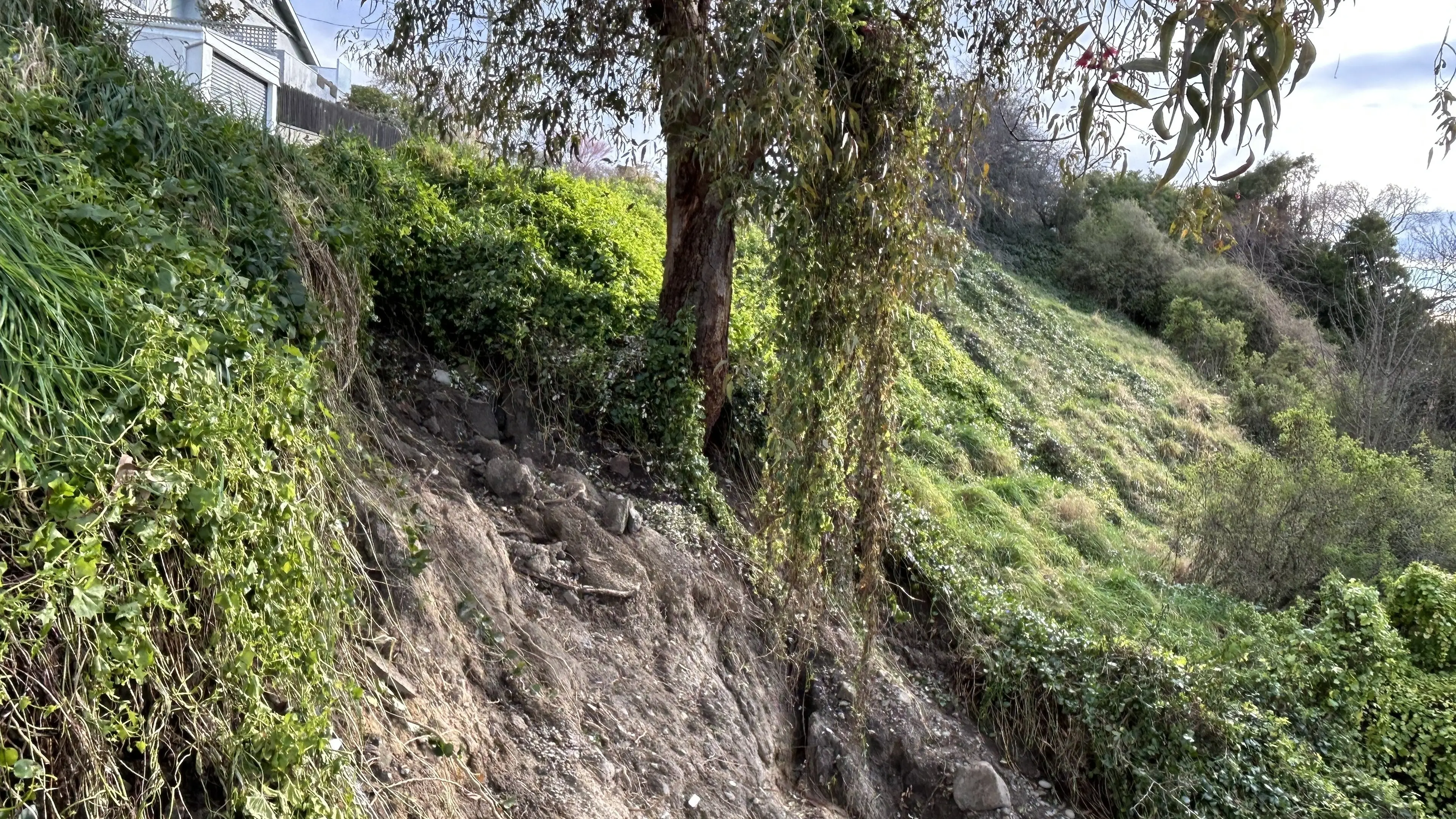 Landslips occurred in unexpected areas after July floods