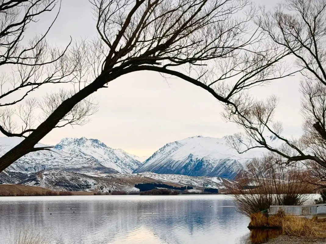 What you miss out on if you do not stop in the Mackenzie Country