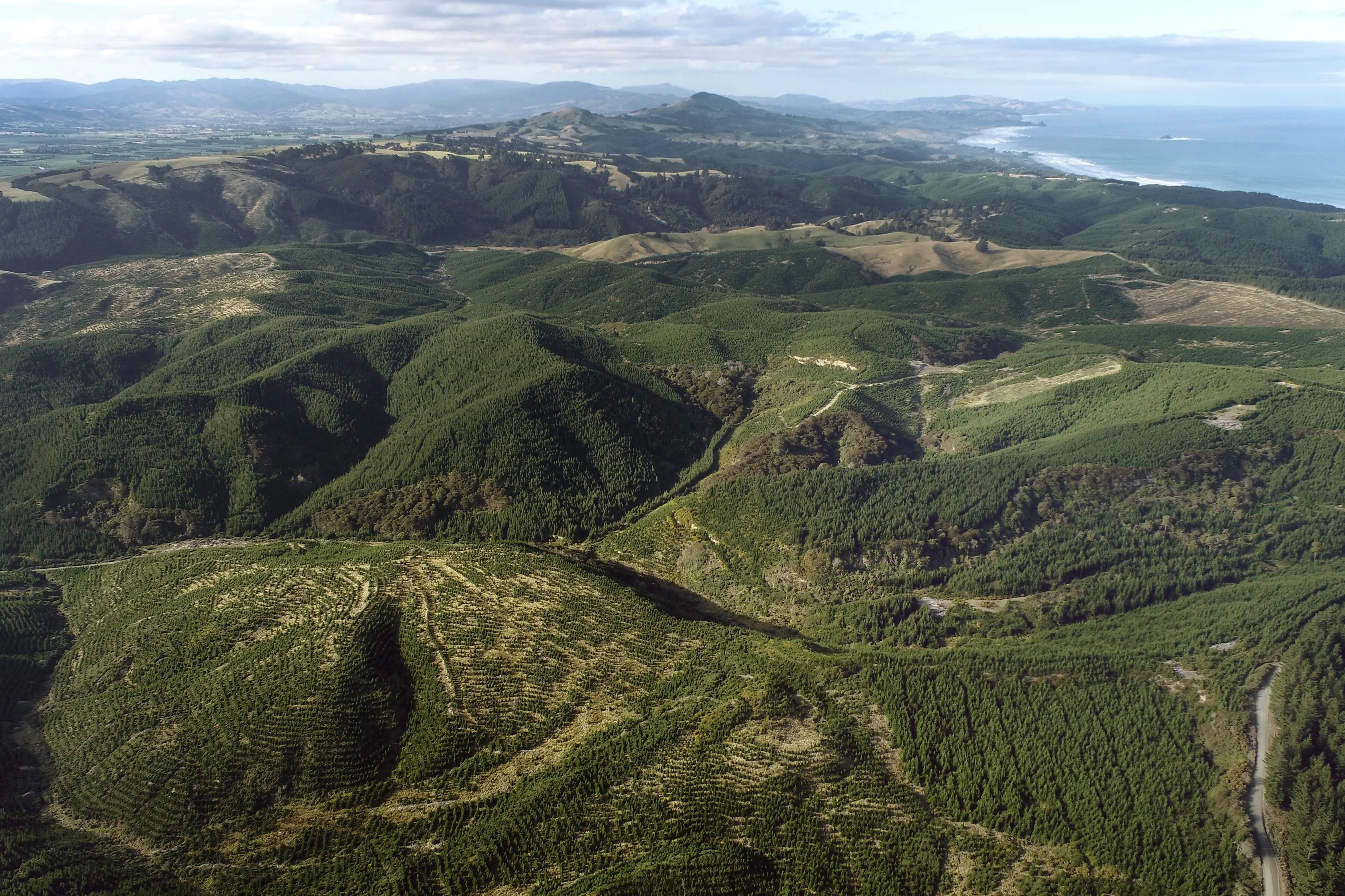 The Dunedin City Council is re-evaluating whether to build a landfill at Smooth Hill, near Brighton. Photo: Stephen Jaquiery